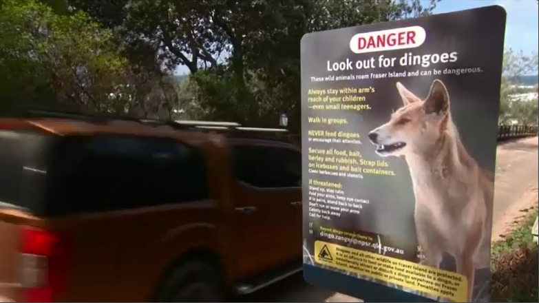 A Dingo danger sign on Fraser Island.