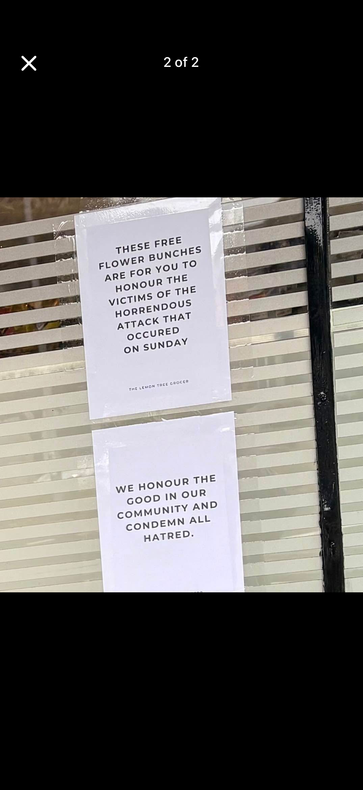 Lemon Tree Grocer in Bondi offers free bunches of flowers