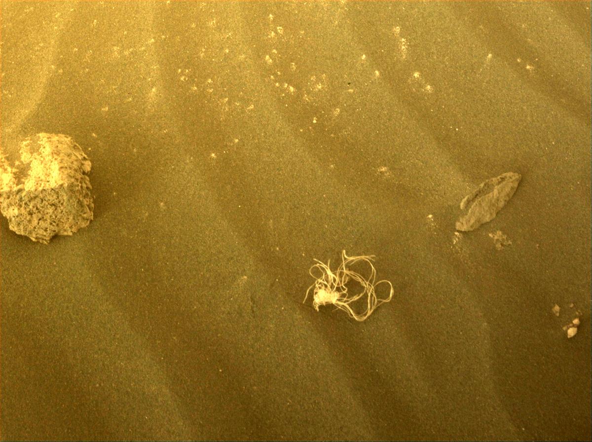 A string-like material was photographed on Mars on Sol 495, July 11. 