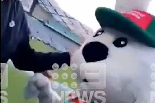 Reggie the Rabbit as he's getting roughed up by fans.