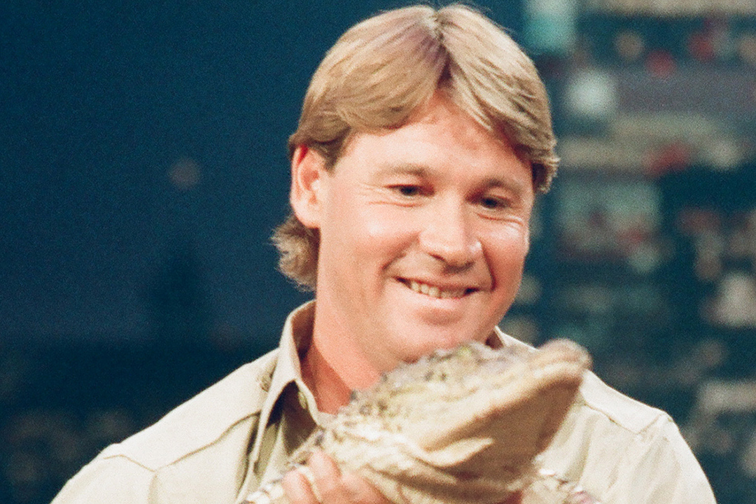 Property available to rent in Canberra in Steve Irwin Street.