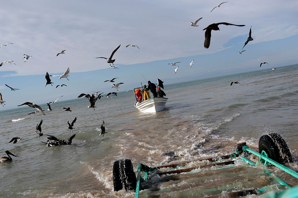 A fishing boat pulls away from a trailer that has brought it to the water, in Golfo de Santa Clara, in Baja California, Mexico. Fishermen from this area fish in the Sea of Cortez which is the habitat of an endangered porpoise, La Vaquita. 