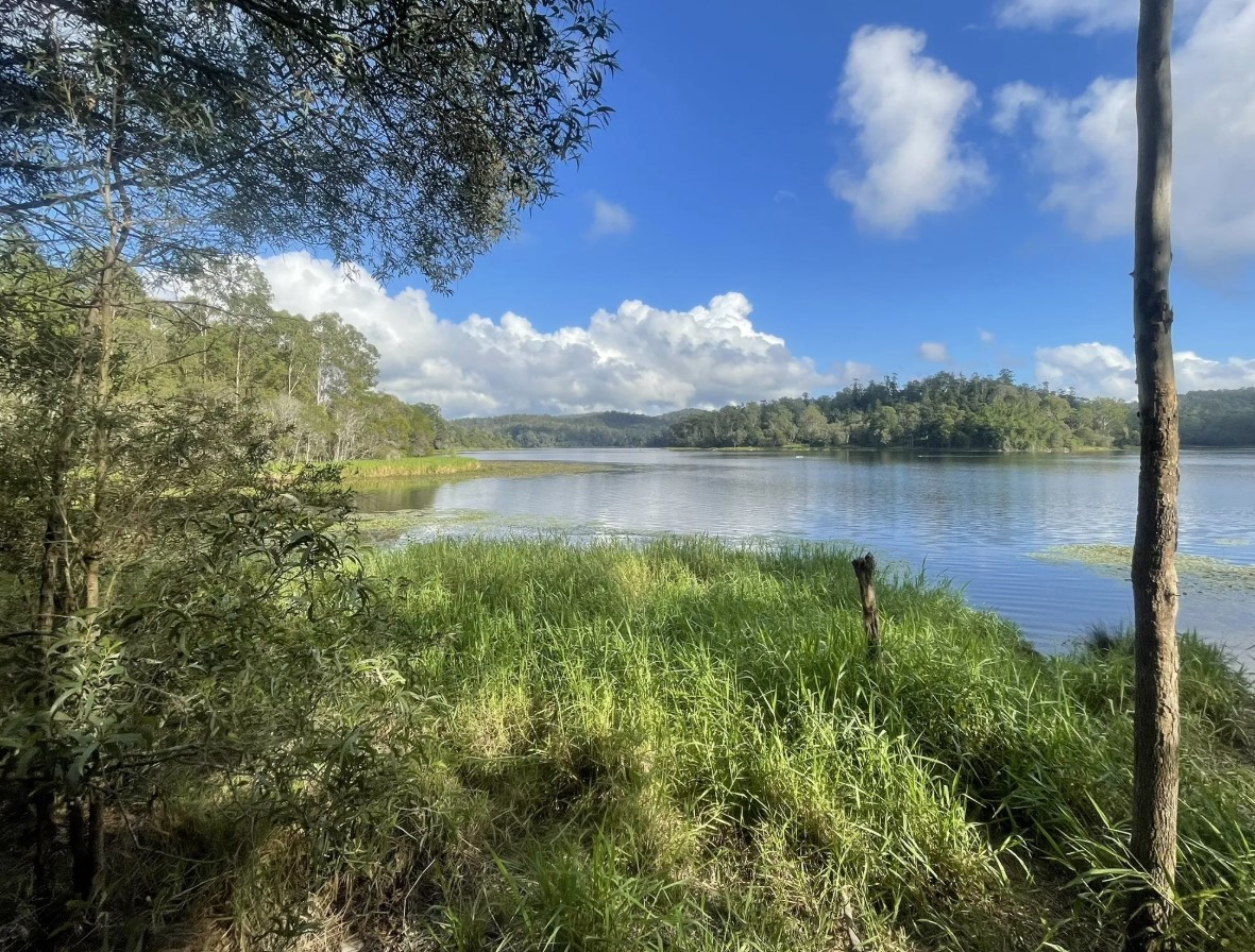 19fcf801-3460-4656-9b7d-a48cac310885