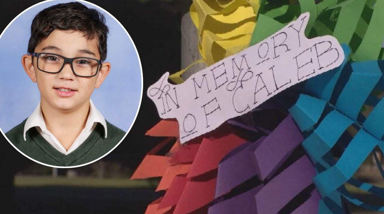 Six-year-old killed in hit-run was 'excited' about first wobbly tooth, principal says