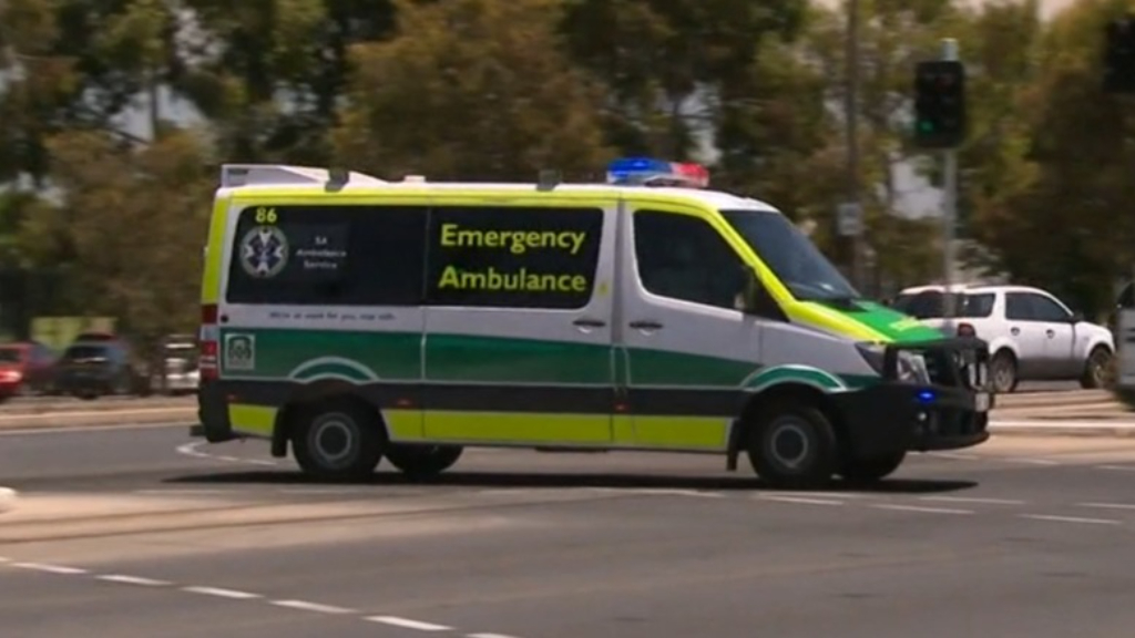 South Australia's public hospital system under strain