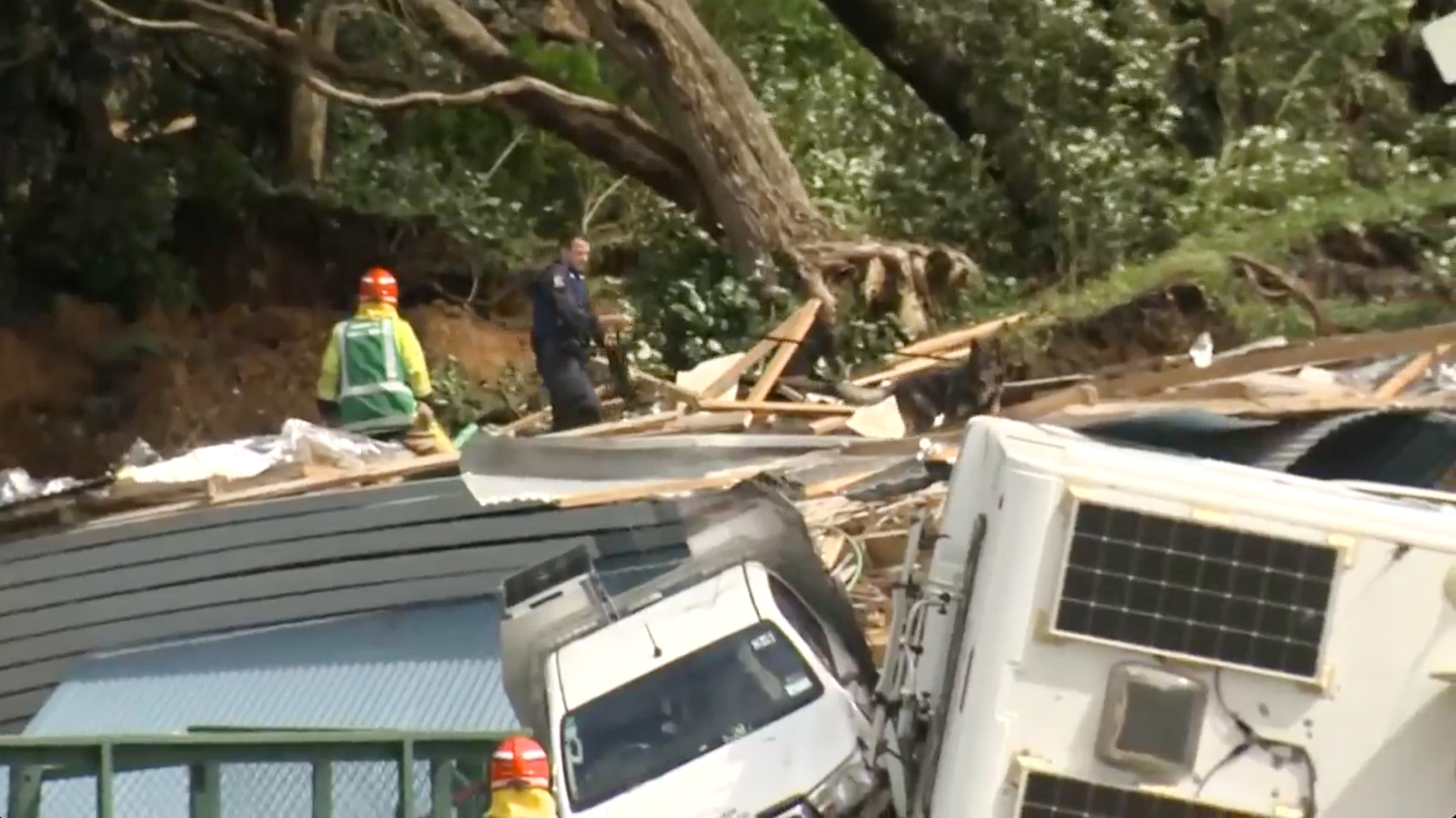 In this image from a video, a police officer with dog searches people near the site of a landslide at the base of Mount Maunganui on New Zealands North Island Thursday, Jan. 22, 2026. 