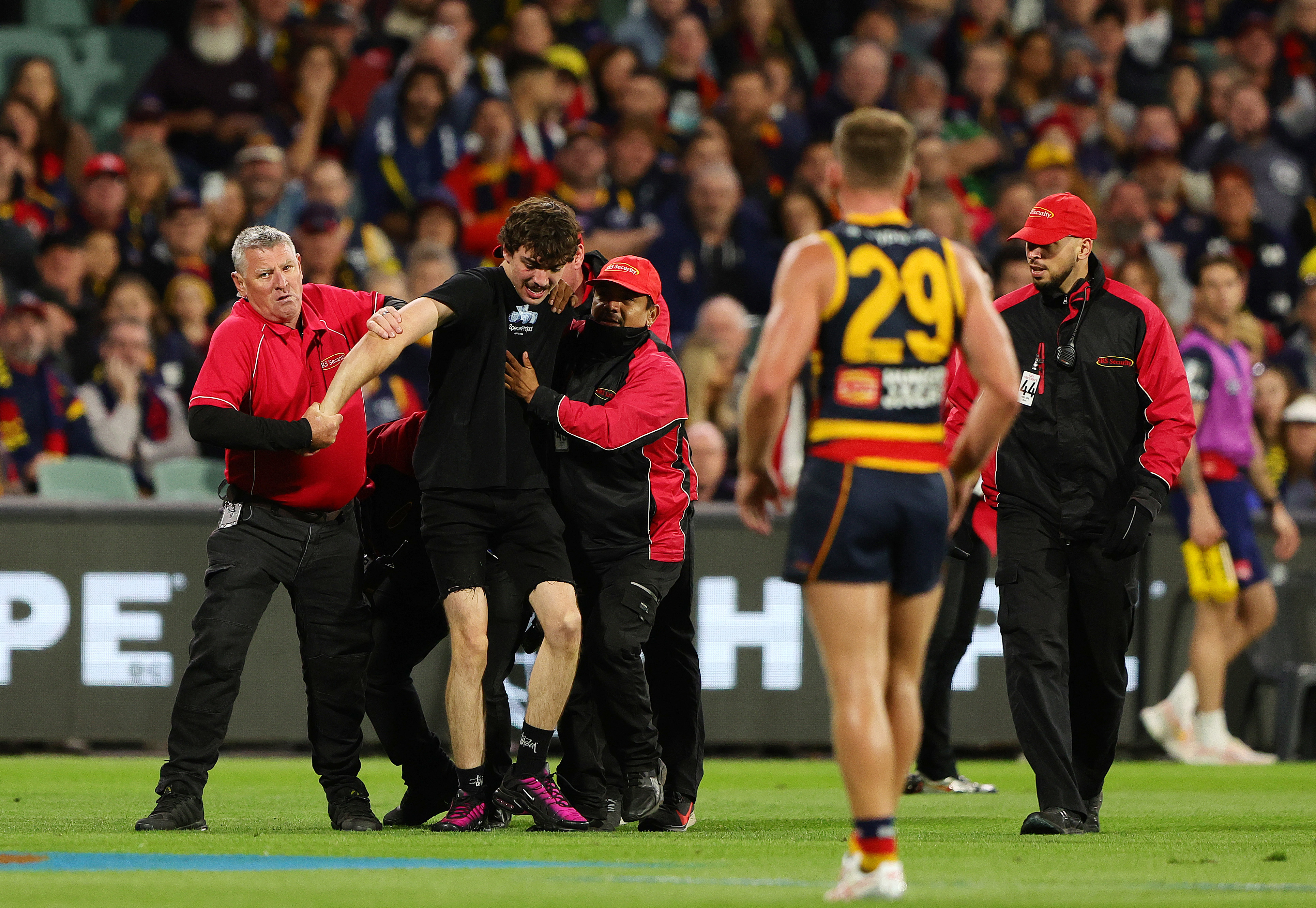 A pitch Invader is removed from Adelaide Oval.