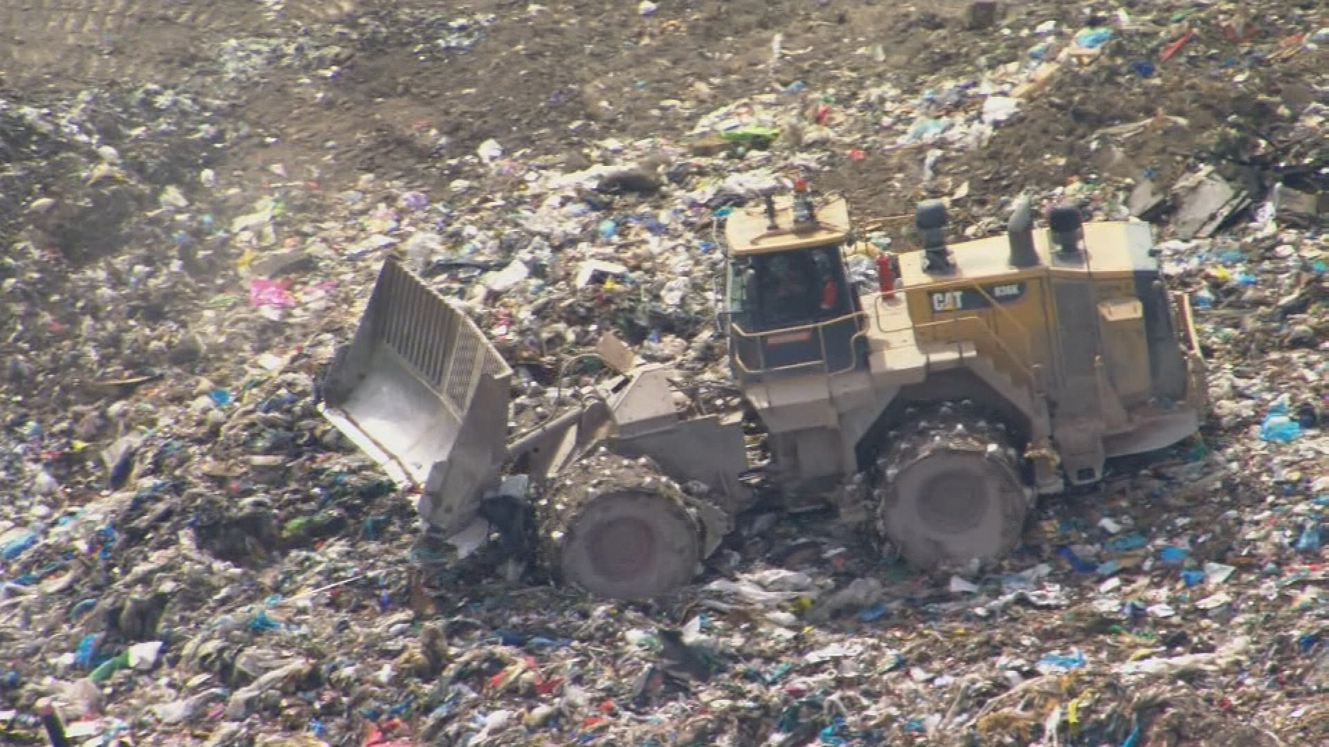 Ipswich Mayor Teresa Harding is urging the Queensland department of environment to do more.