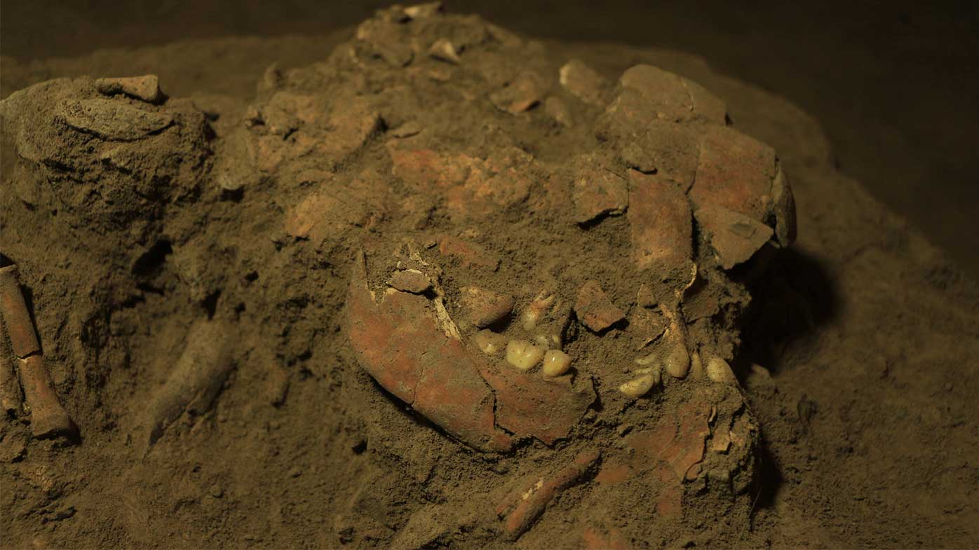 Fragmentary remains of the girl's skull were used to retrieve her DNA.