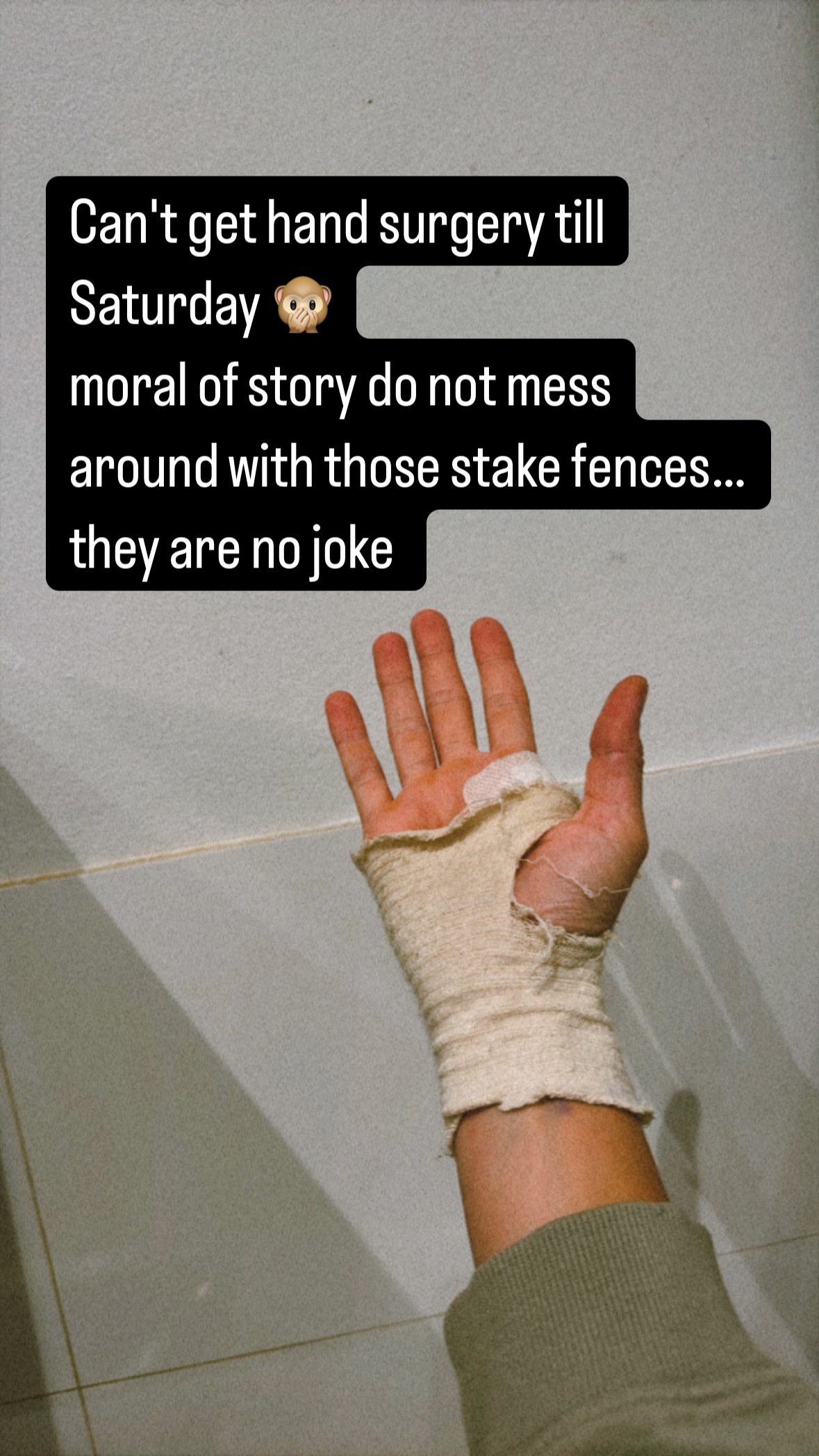 Isabelle Cornish reveals stake fence injury