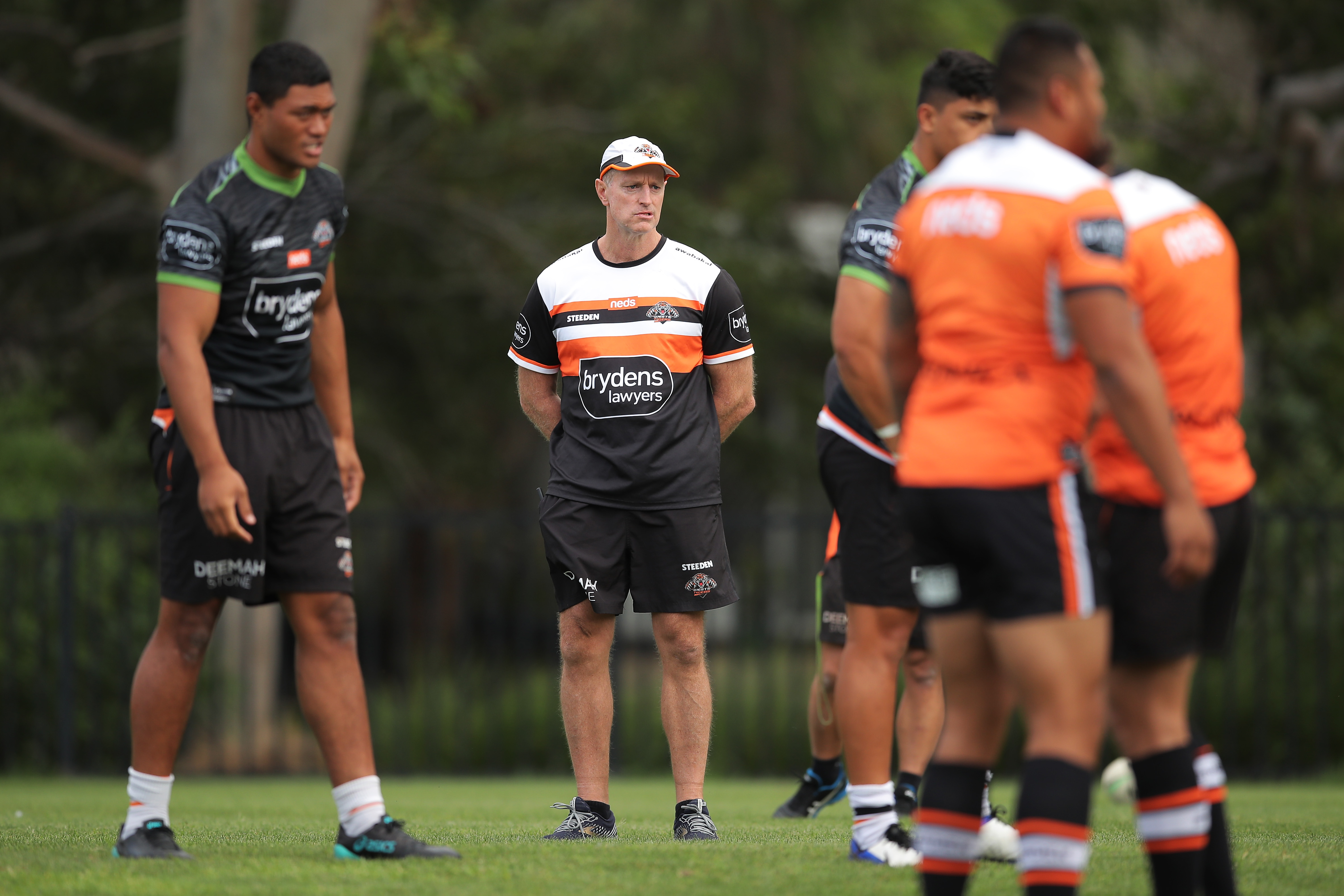Tigers coach Michael Maguire looks on during a training session.
