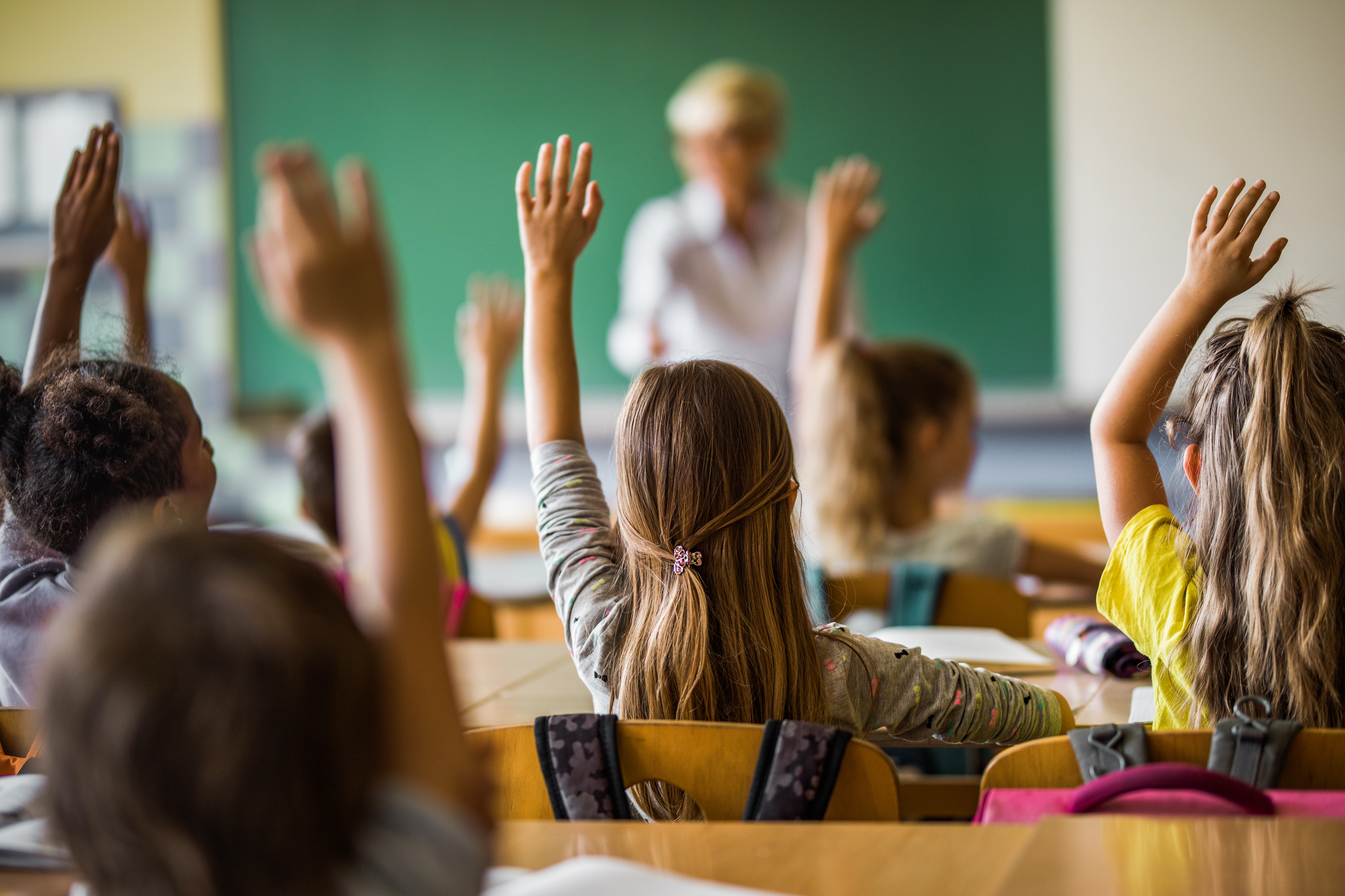 Rear view of large group of students raising their arms to answer the question on a class at elementary school.