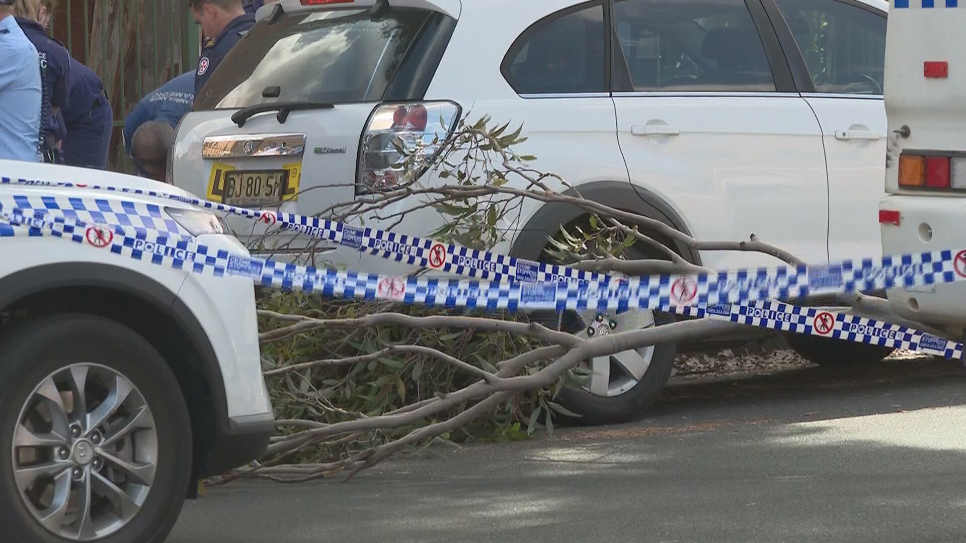 A branch could be seen on the road as police cordoned off the area.