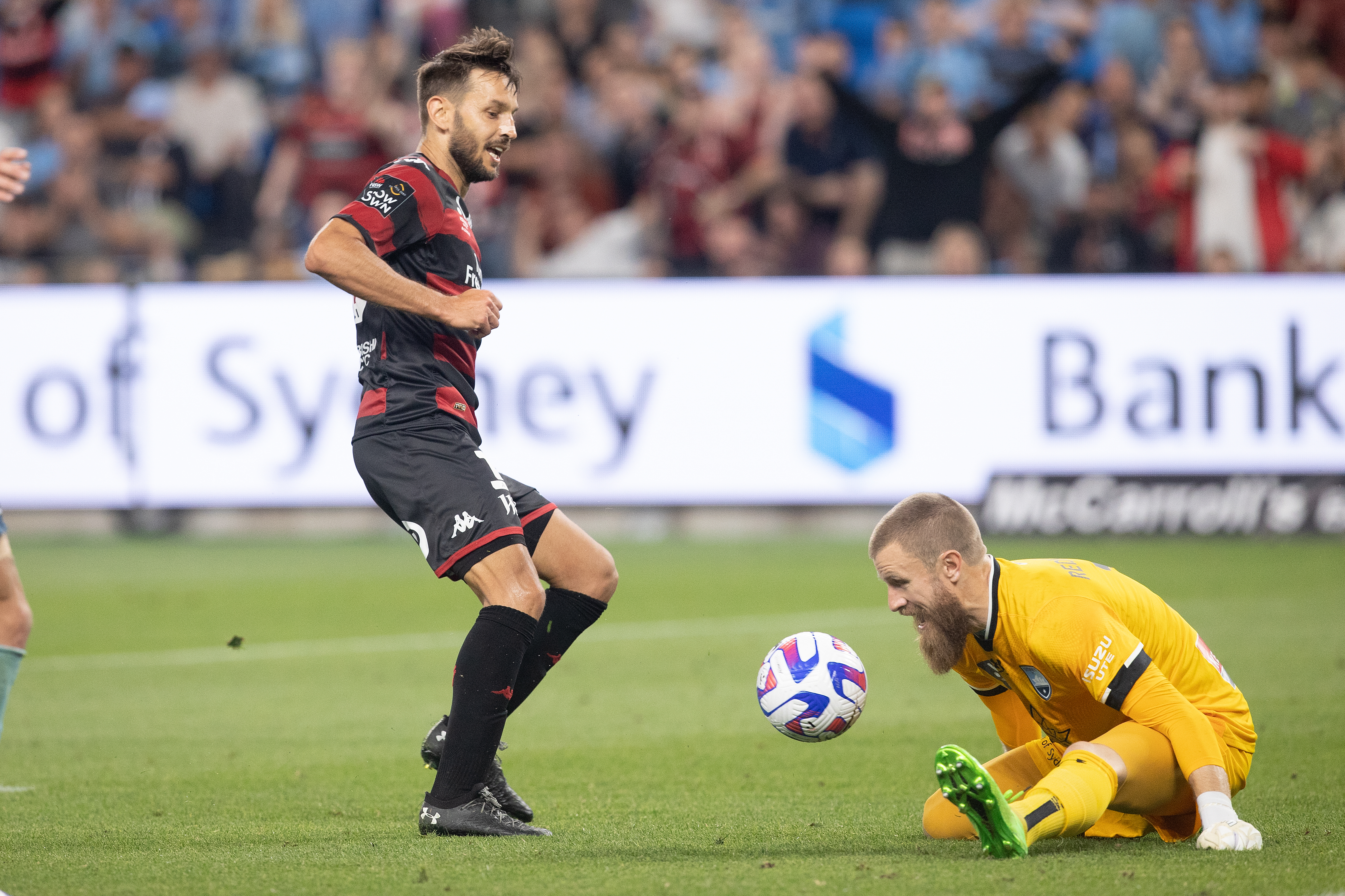Milos Ninkovic of the Wanderers shoots for goal but his shot is stopped by Sydney FCs Andrew Redmayne during the round six A-League Men's match between Sydney FC and Western Sydney Wanderers at Allianz Stadium, on November 12, 2022, in Sydney, Australia. (Photo by Steve Christo - Corbis/Corbis via Getty Images)