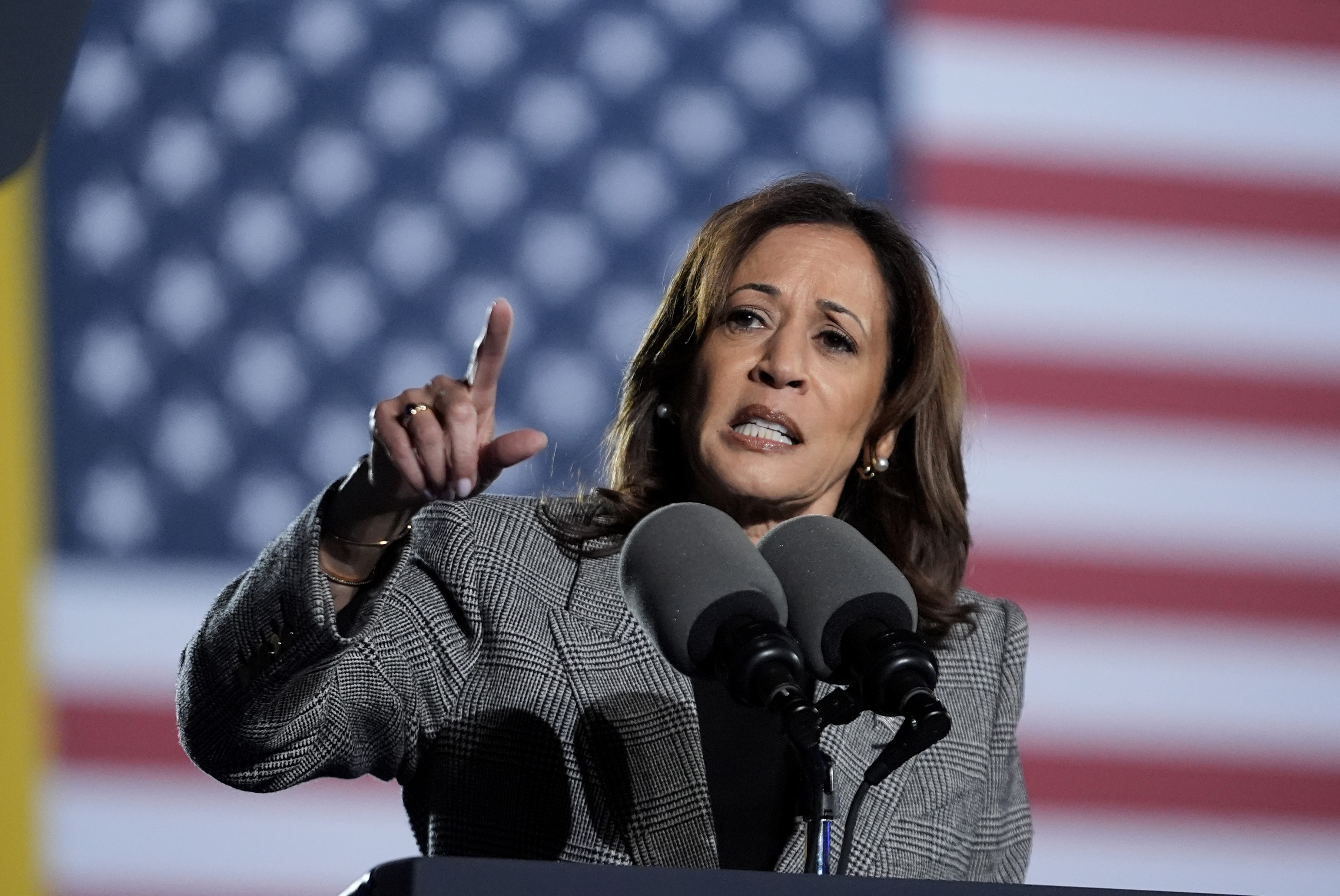 La vicepresidenta candidata demócrata a la presidencia, Kamala Harris, habla en un evento de campaña en Burns Park el lunes 28 de octubre de 2024, en Ann Arbor, Michigan (Foto AP/Paul Sancya).