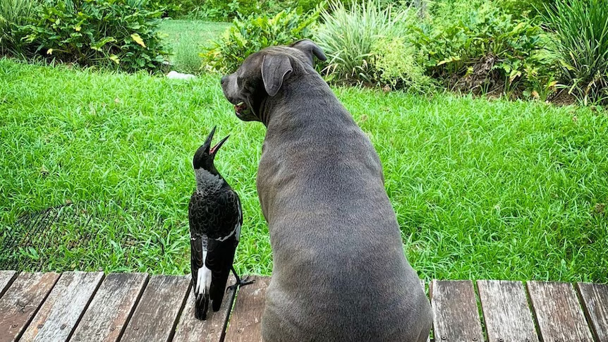 Molly and Peggy became the best of friends.