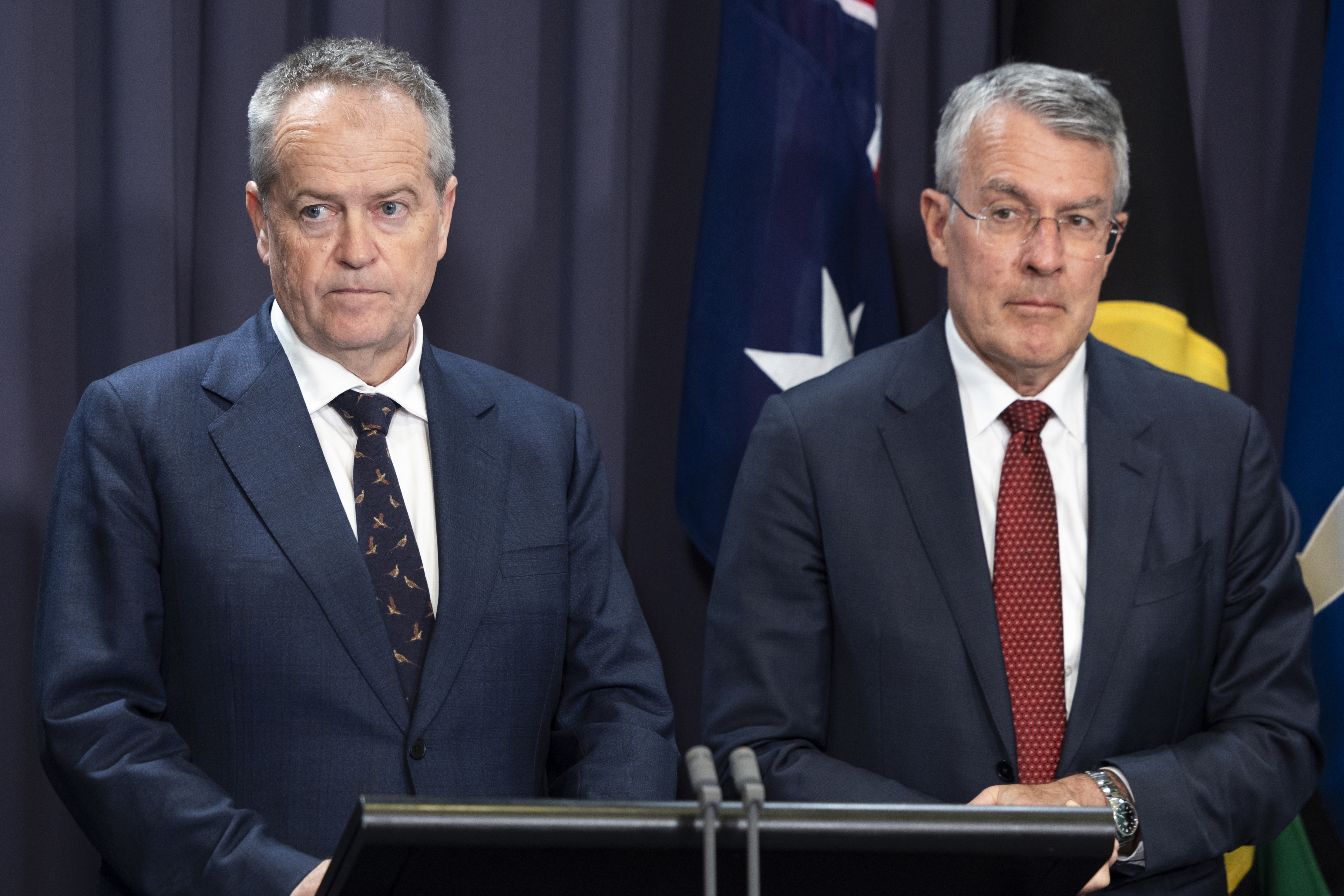 Bill Shorten and Mark Dreyfus.