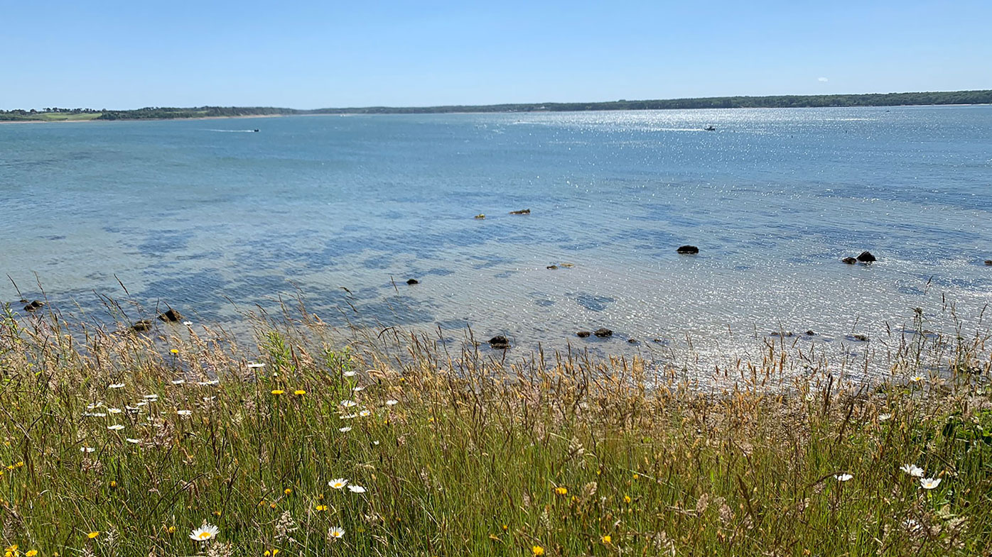 Now that it is fully open to the public, visitors are encouraged to access the island from the eastern shore.