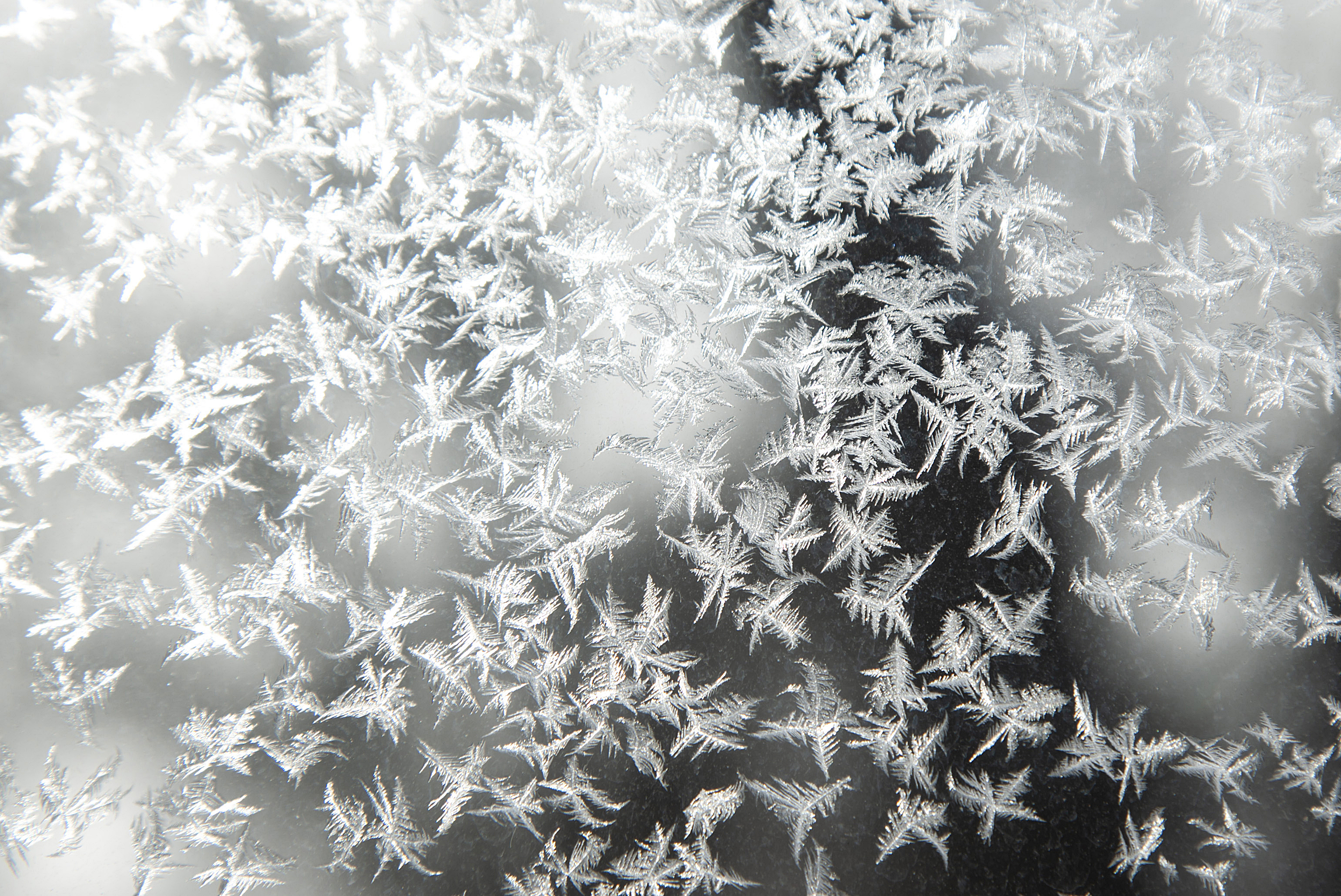 Frost forms on a storm window as temperatures remain below zero Fahrenheit during a blizzard warning, Friday, Dec. 23, 2022, in Iowa City, Iowa. (Joseph Cress/Iowa City Press-Citizen via AP)