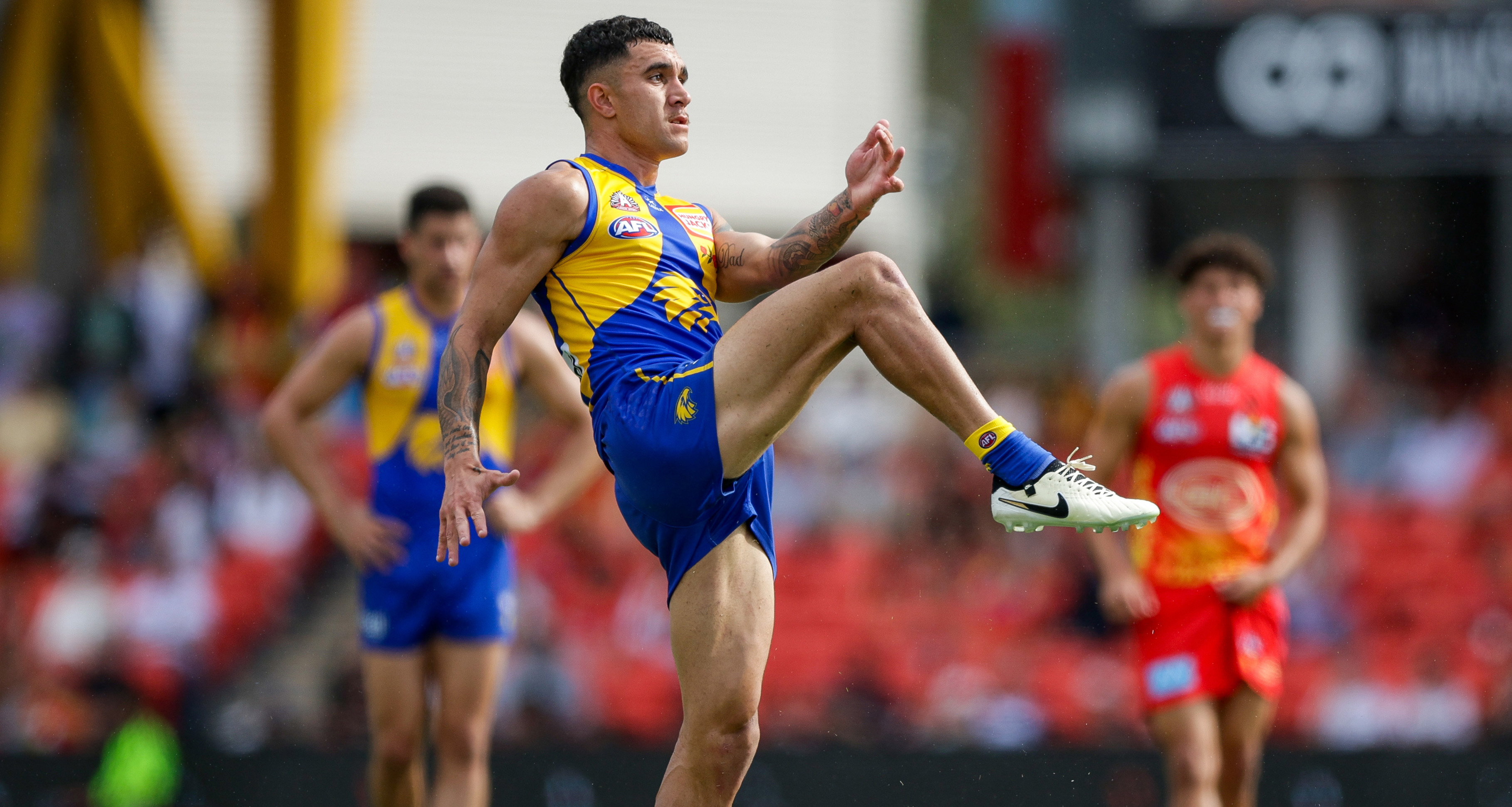 AFL news 2024, West Coast Eagles player Tyler Brockman investigated over  car crash