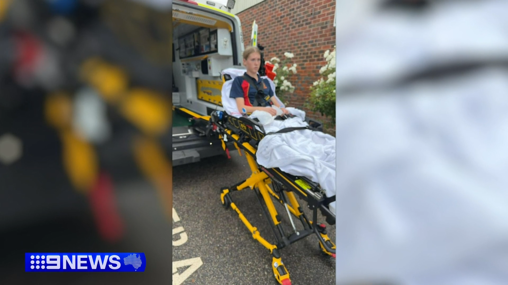 Michael Day and his dog Messi were hit by lightning in WA