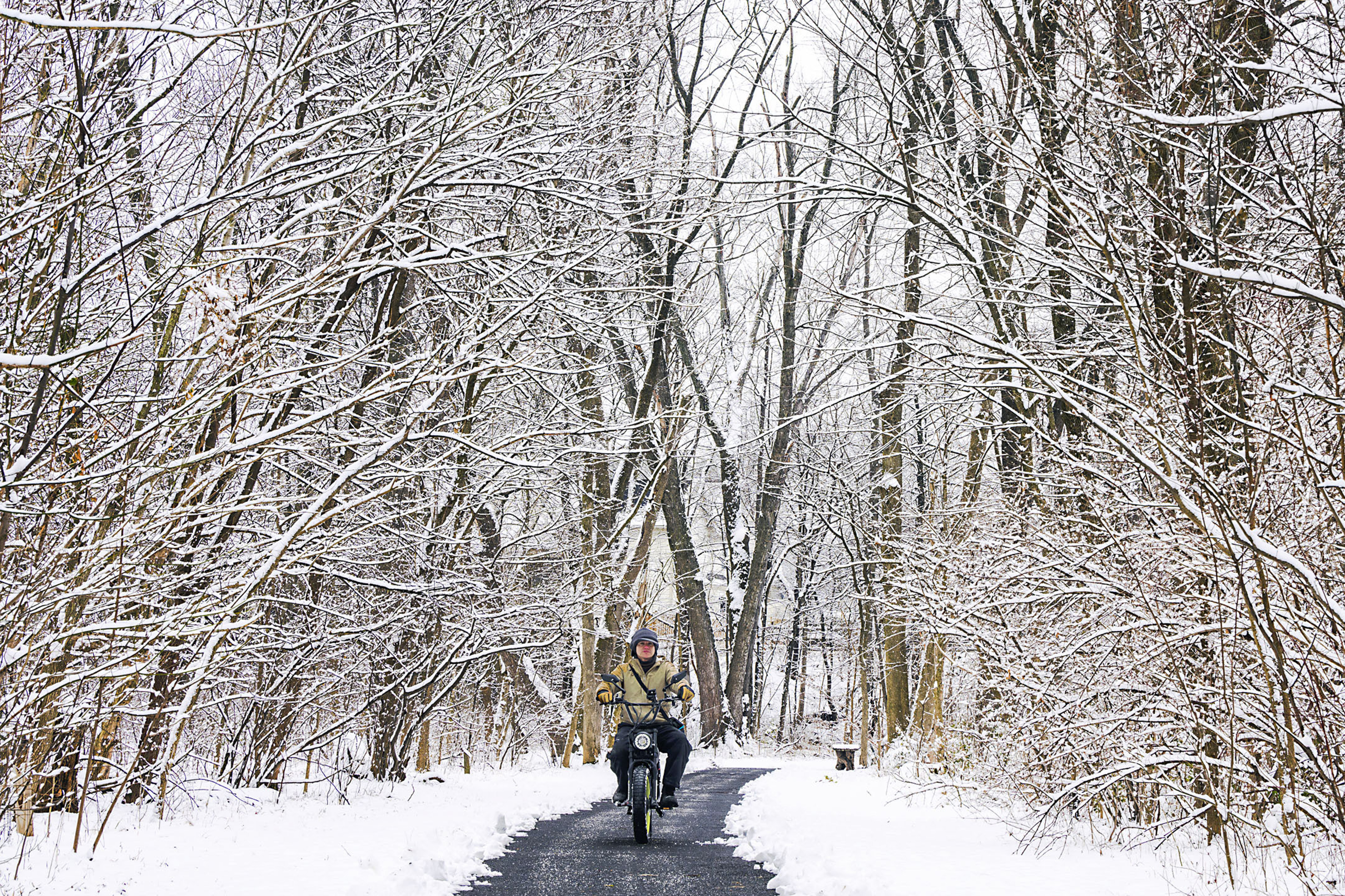 Rock Creek Park 