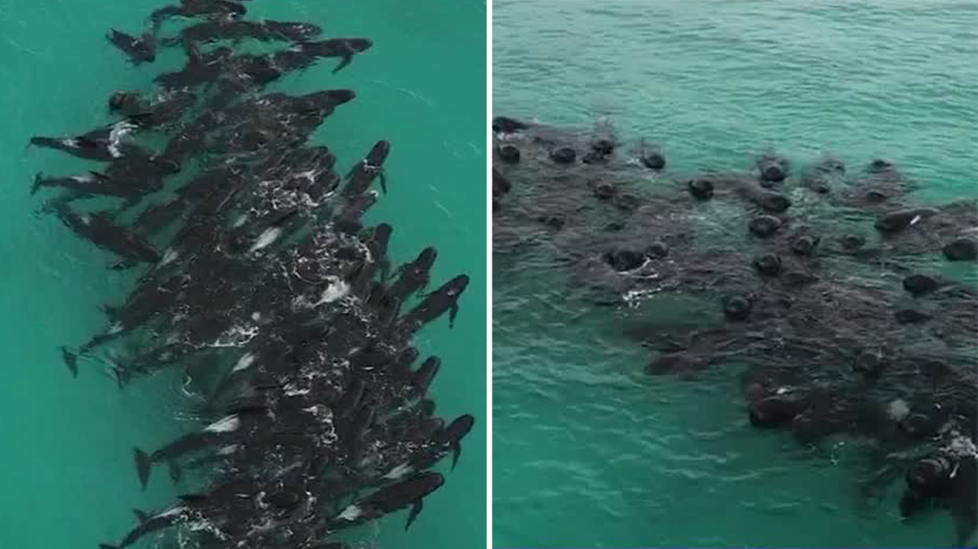 Nature has put on an unusual show to the delight of onlookers in a Western Australian community.