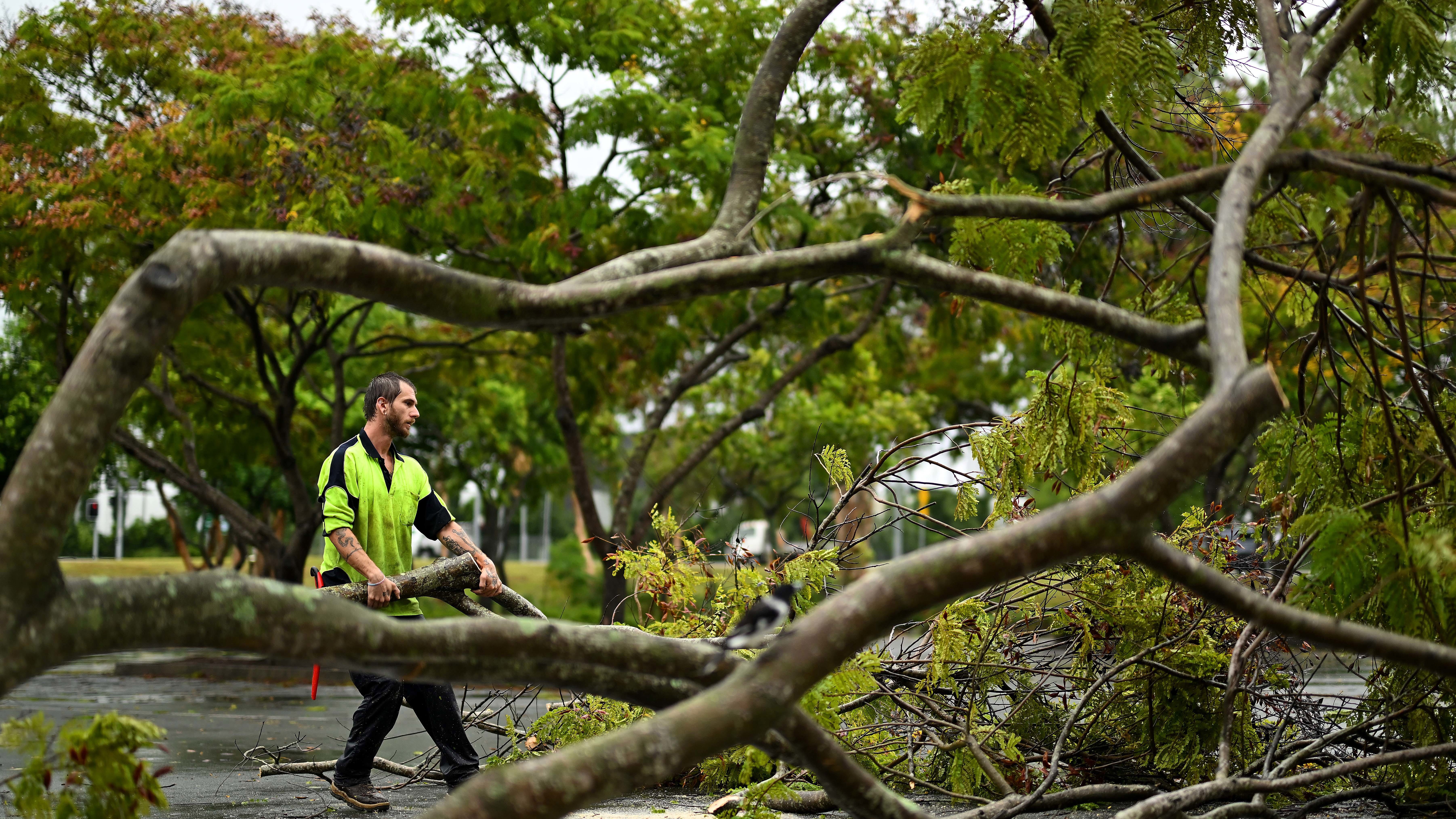 Crews work on the removal of fallen trees from a retail precinct in the suburb of Everton Park in Brisbane.