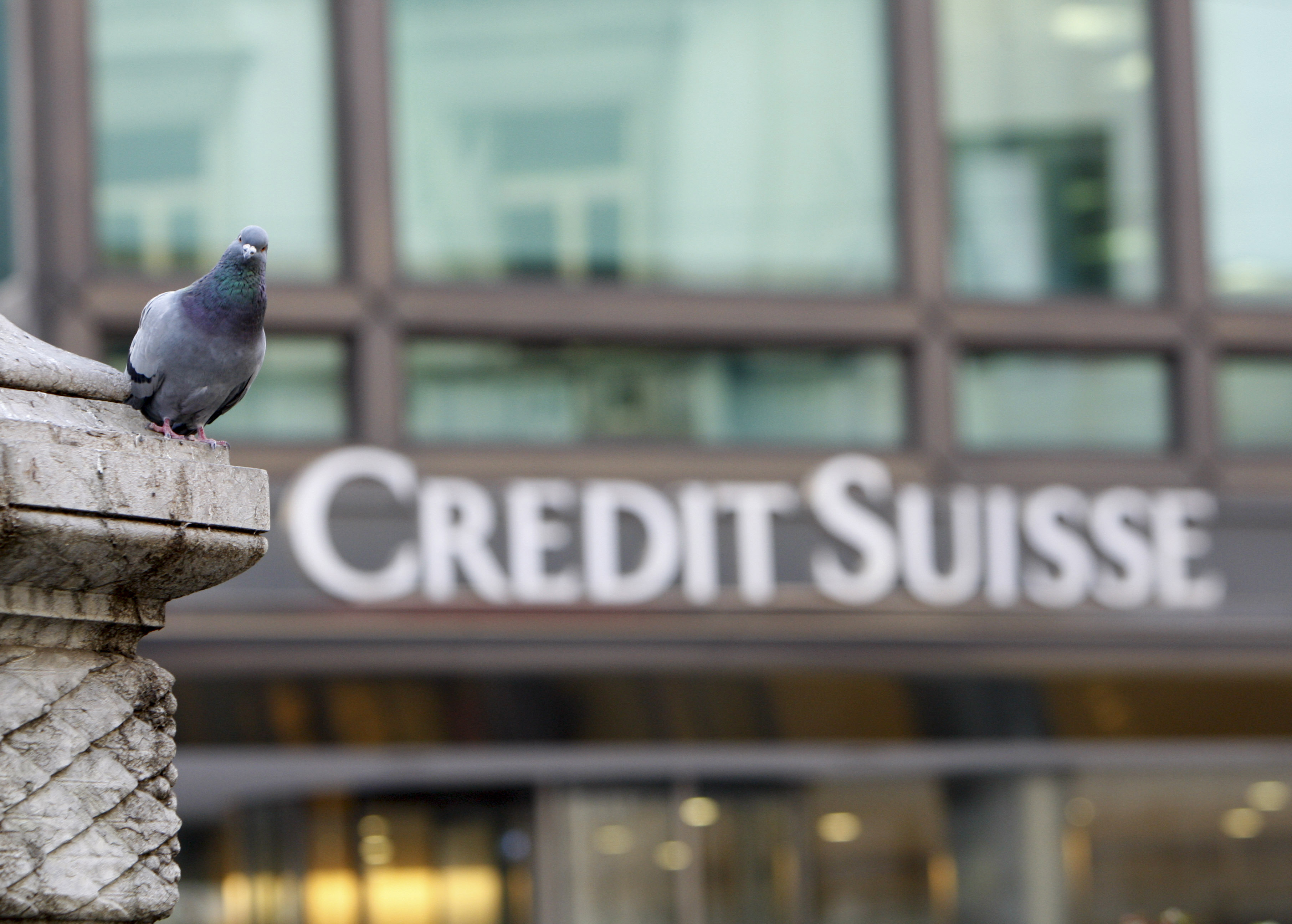 FILE - A pigeon rests near a building hosting offices of Credit Suisse bank in Milan, Tuesday, Oct. 27, 2009. 
