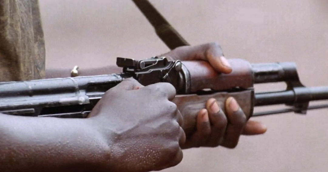 Thirty-five hostages killed in Nigeria after ransom was paid 