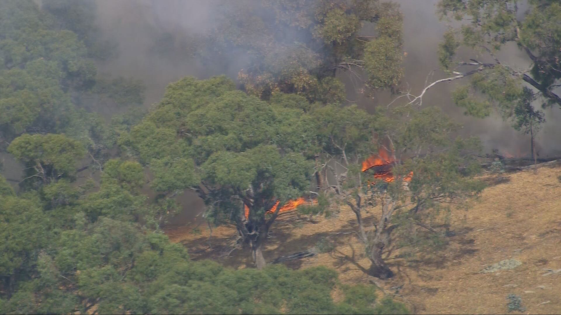 Bushfires in Victoria