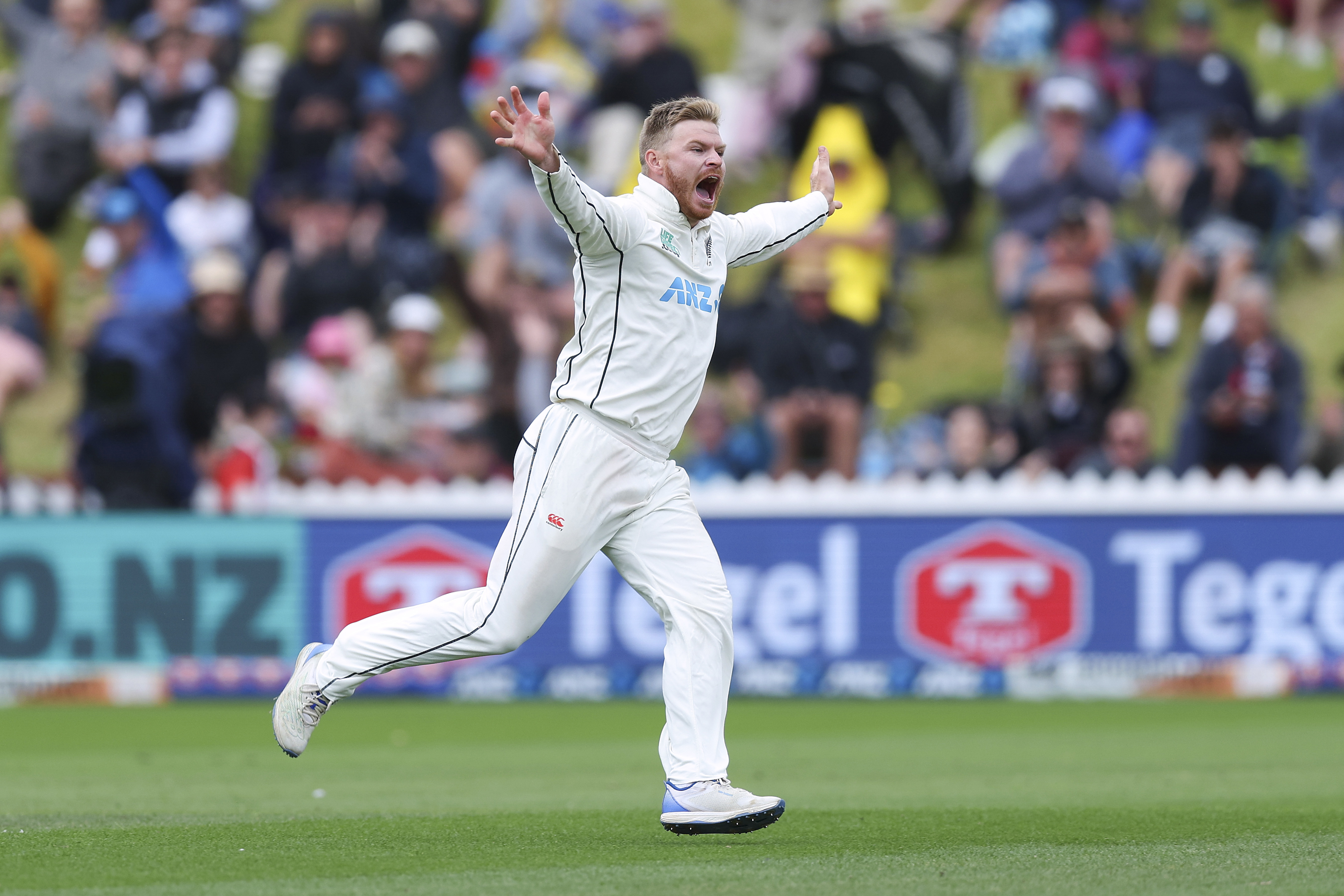Glenn Phillips of New Zealand celebrates after taking the wicket of Cameron Green of Australia for a five wicket bag during day three of the First Test in the series between New Zealand and Australia at Basin Reserve on March 02, 2024 in Wellington, New Zealand. (Photo by Hagen Hopkins/Getty Images)