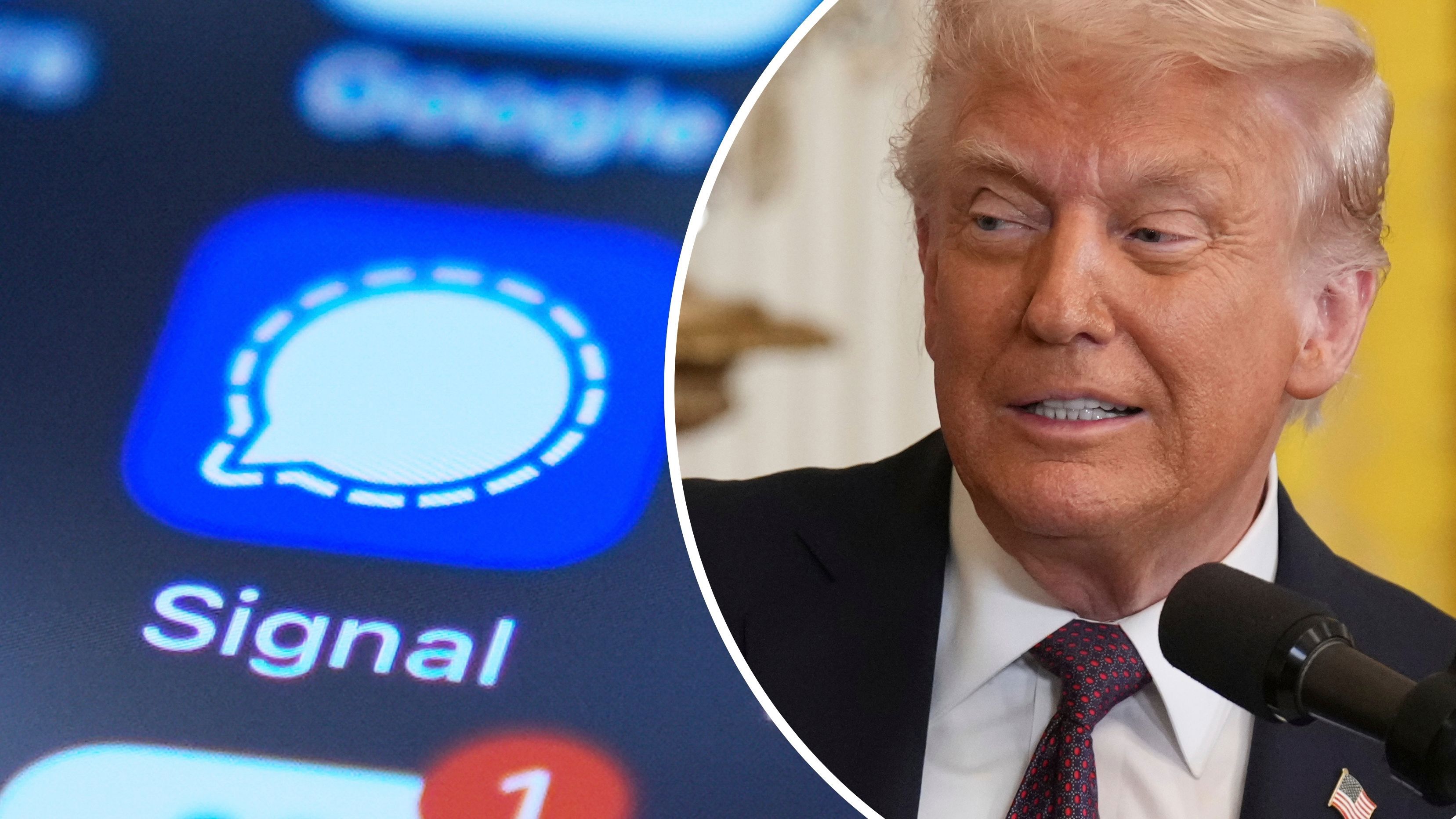 'Doing his best': Trump defends Waltz after journalist was texted war plans