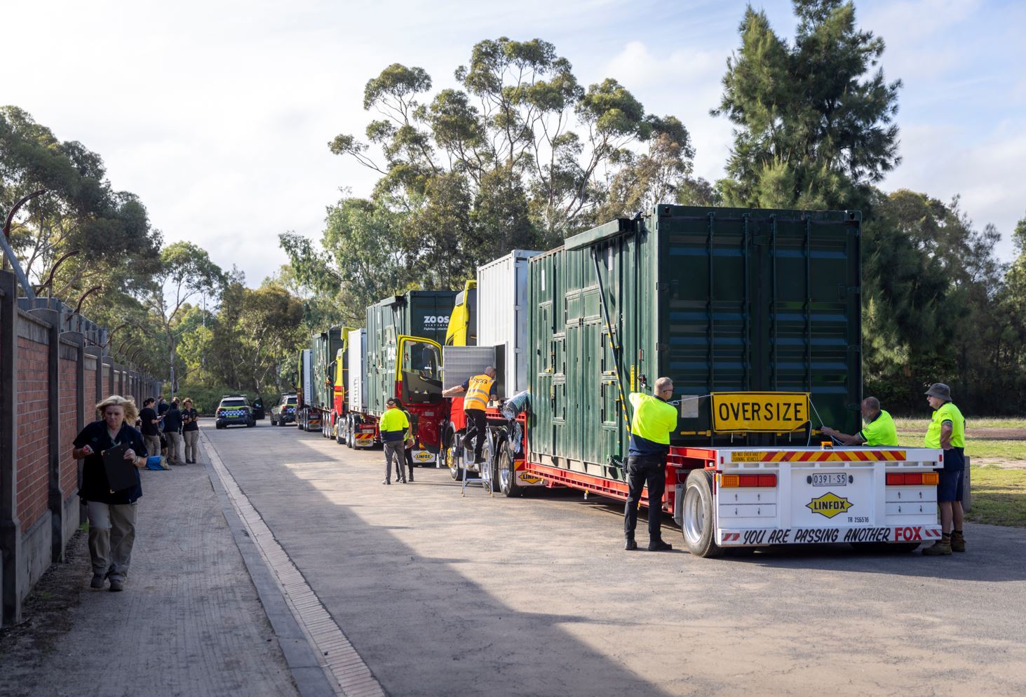 Five-day operation to rehome herd of elephants at Victorian zoo