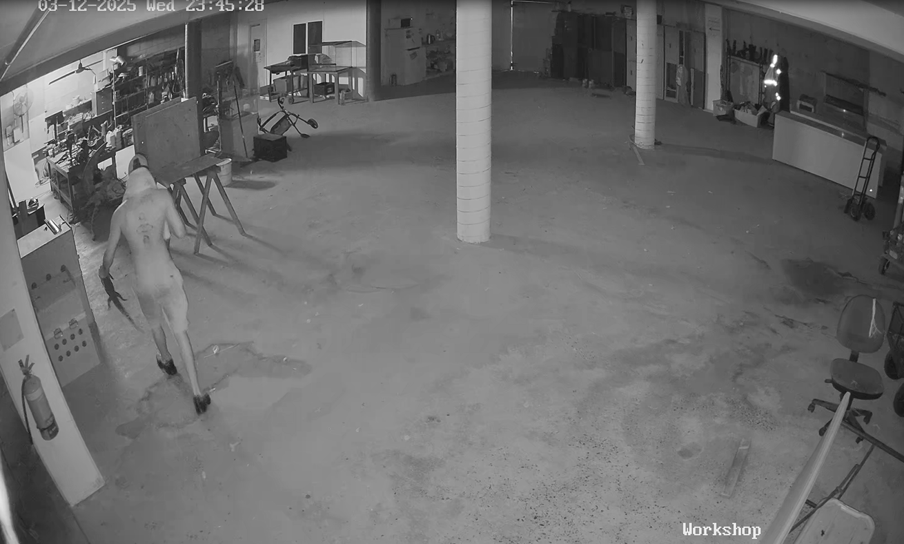 A beloved Darwin tourist attraction and reptile education centre was targeted by a brazen thief, who unlawfully entered the premises, stole a Holden Rodeo utility and used it to ram through multiple gates.