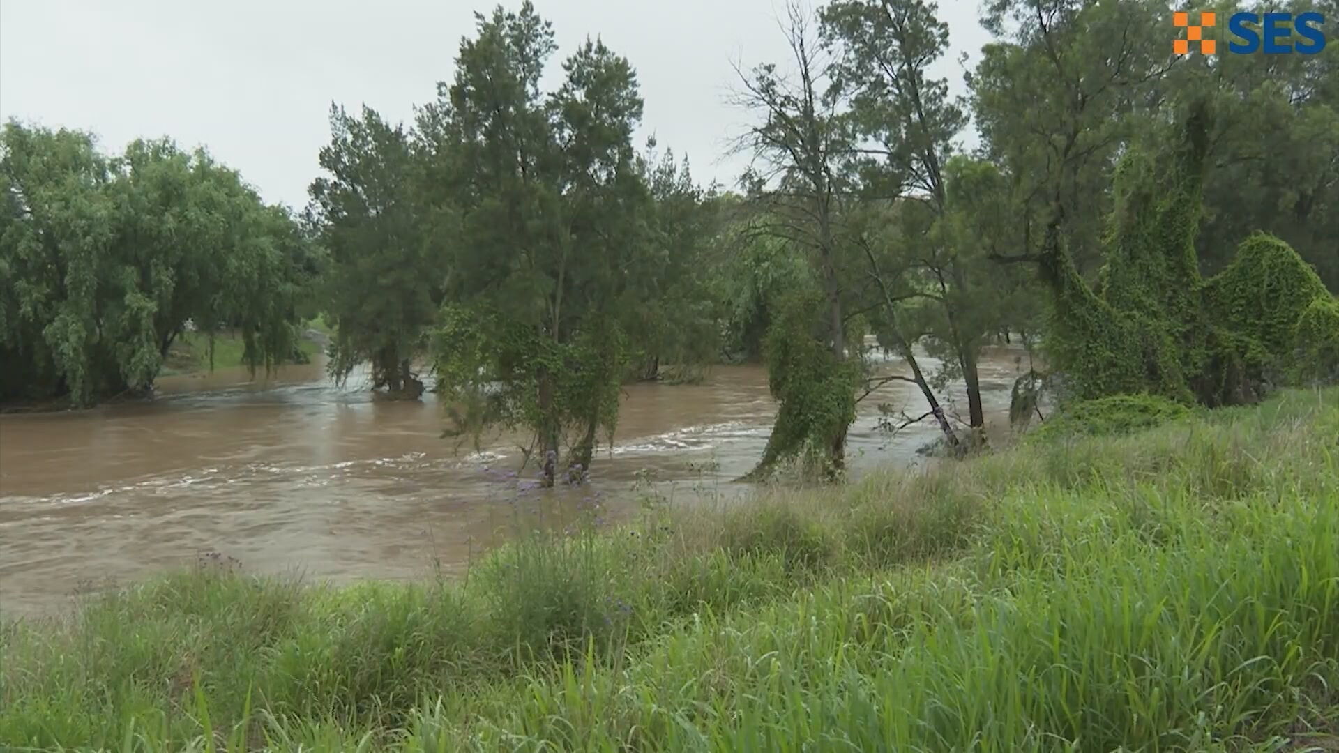 SES in Singleton, NSW monitor river levels