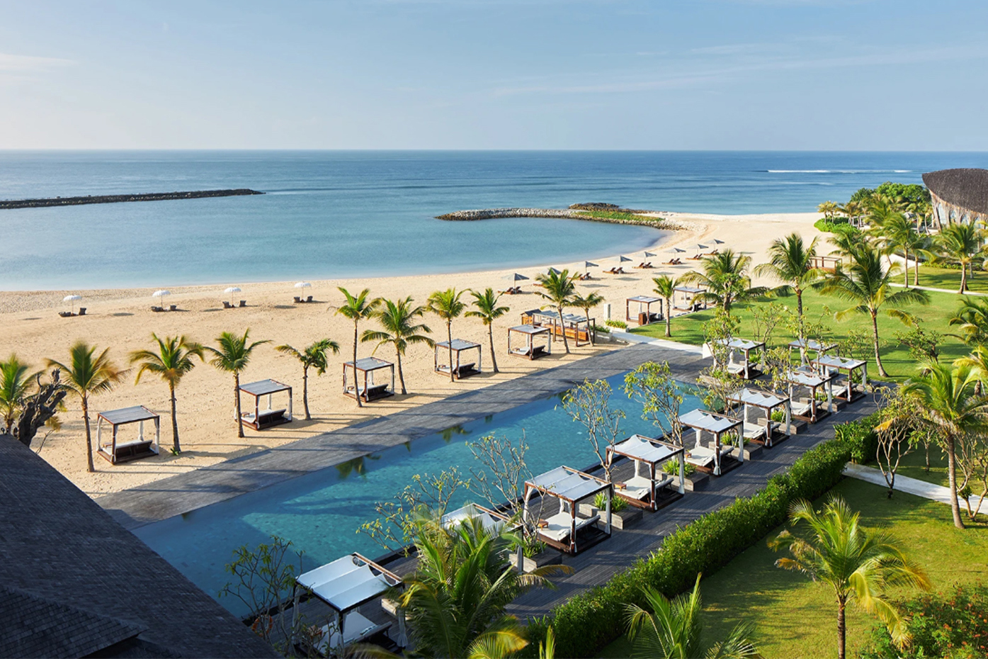 Most of the travellers came into contact with the animals in popular tourist areas of southeast Asia such as Bali.