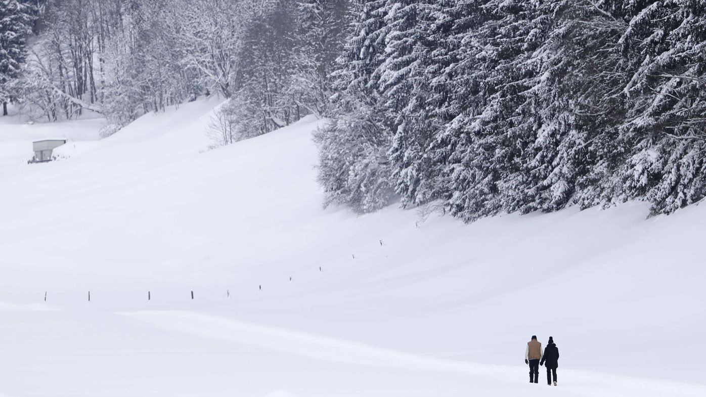 Donald Trump said Austria's lack of devastating forest fires was evidence that climate change was not responsible for California's blazes.