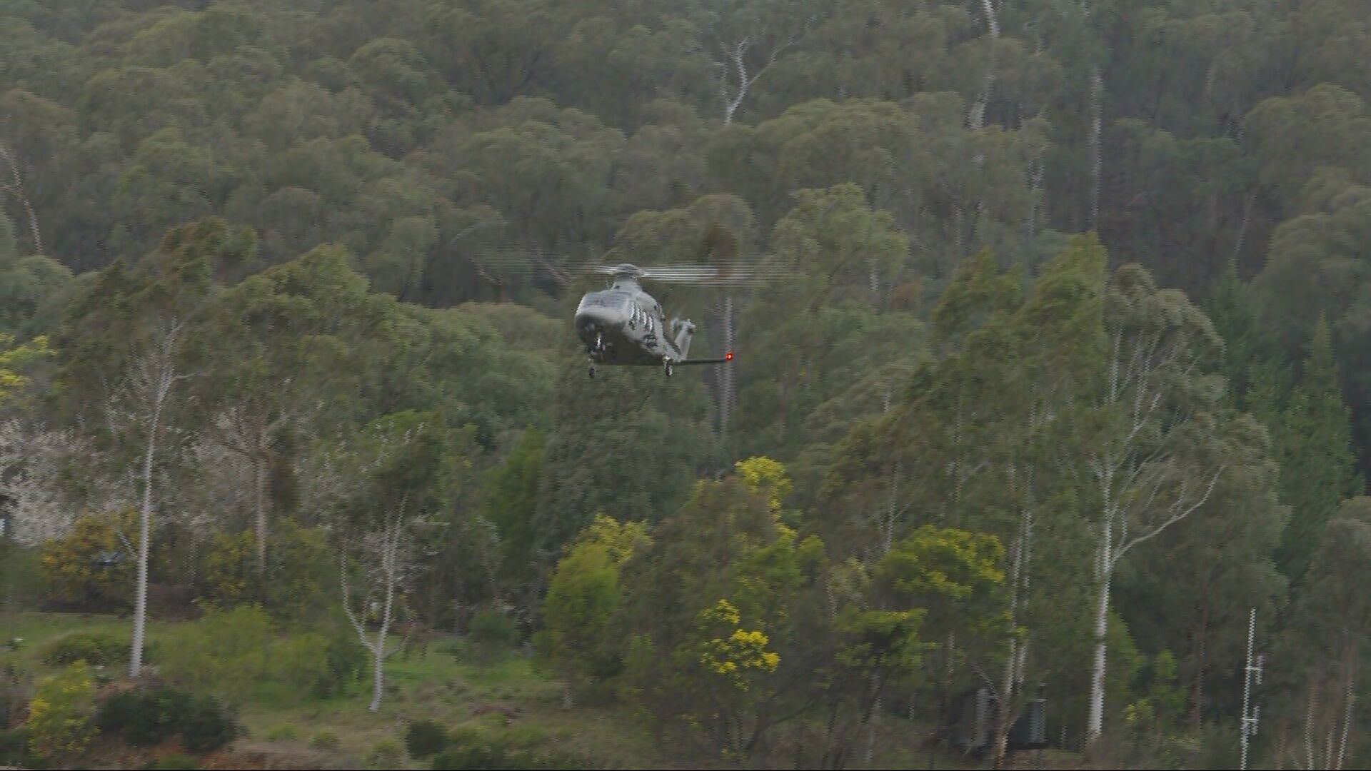 Porepunkah shooting