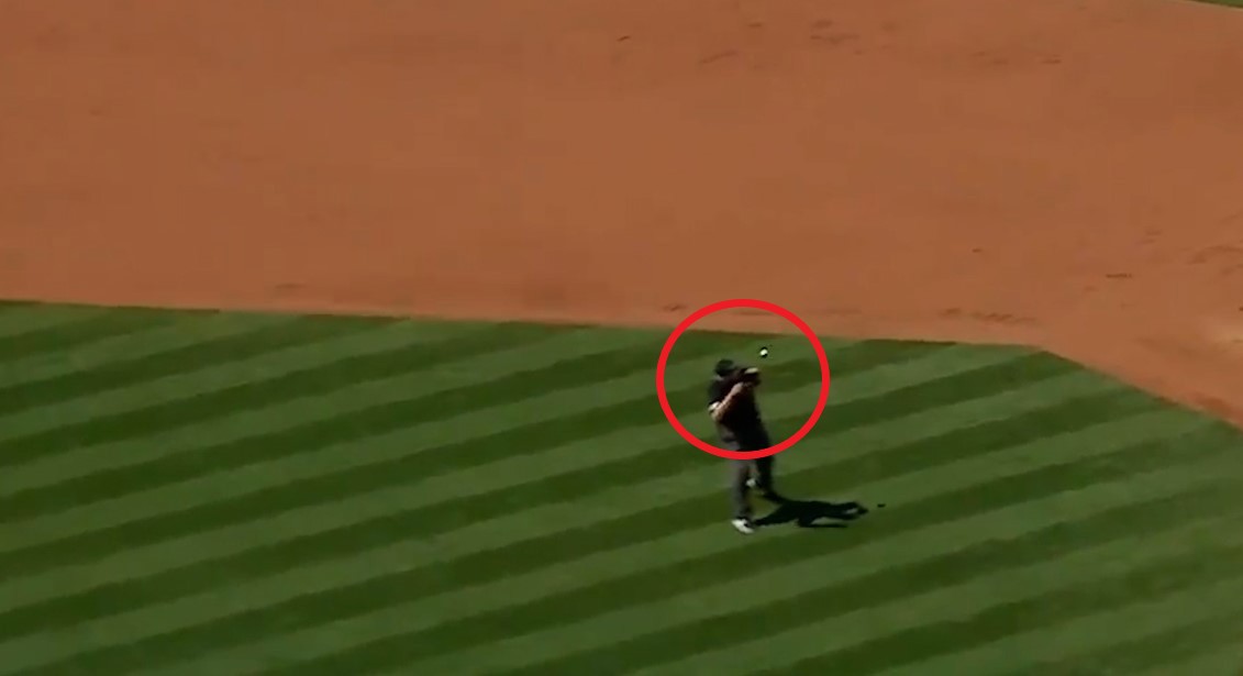 Video of Major League Baseball umpire Larry Vanover hit in head by