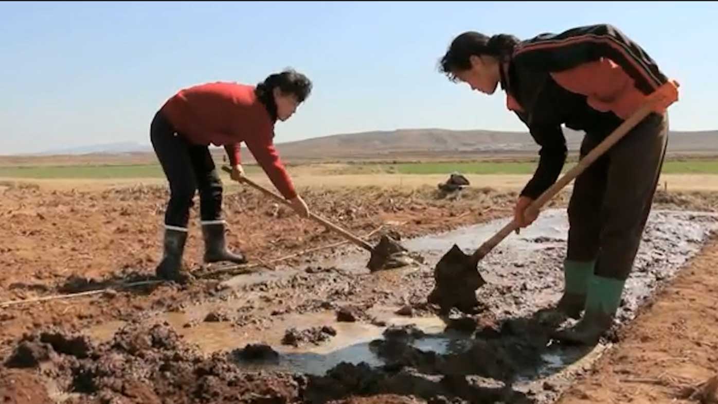 North Korean farmers using hand tools.