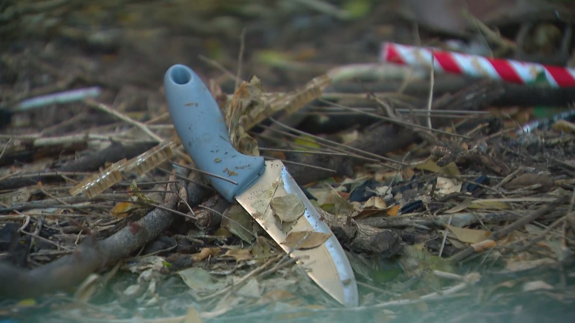 A knife was found by police but is yet to be linked to the random attack.