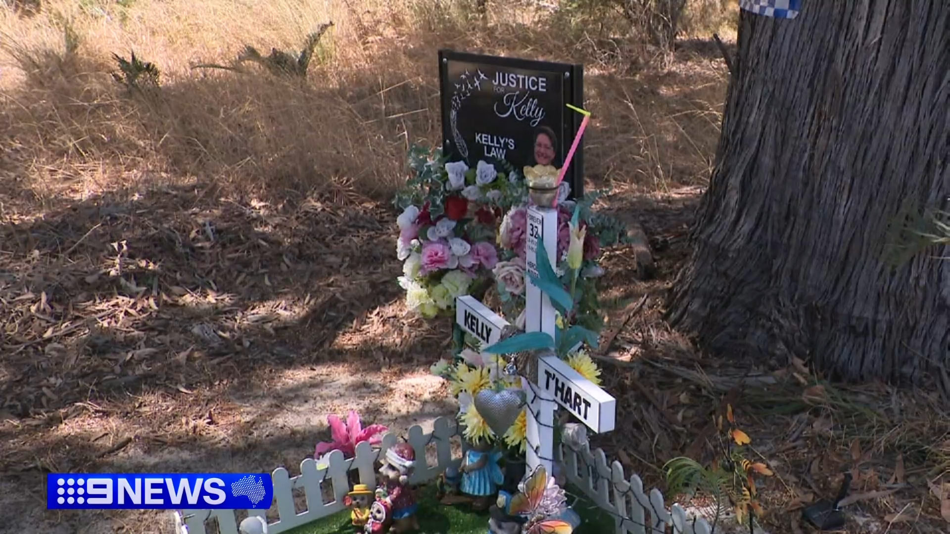 Where Kelly T'Hart was hit