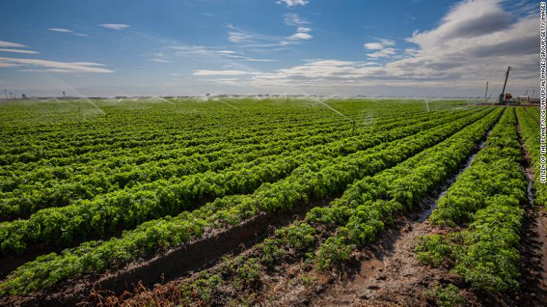 California's Central Valley, which produces one-fourth of the nation's food, will be ravaged by a megaflood.
