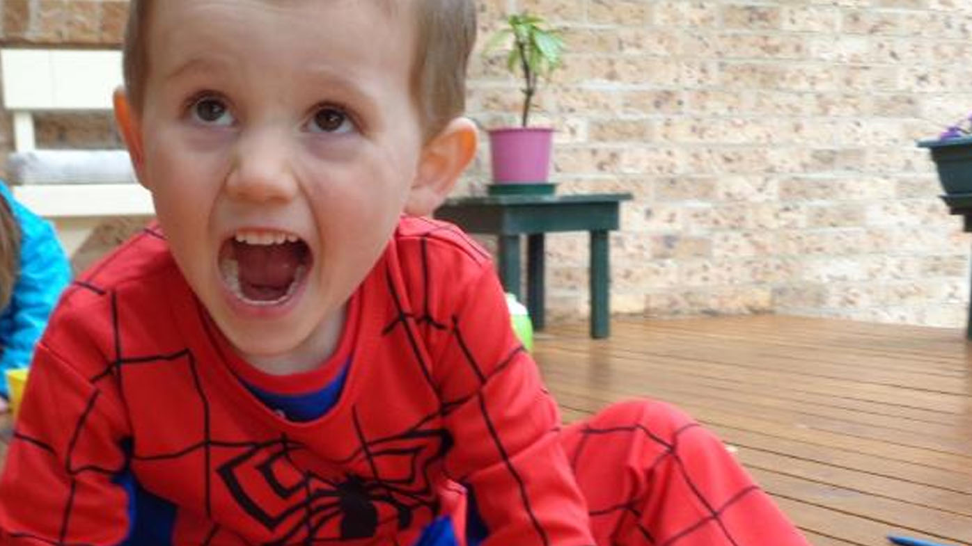 Truckie who drove through area on day William Tyrrell disappeared to testify