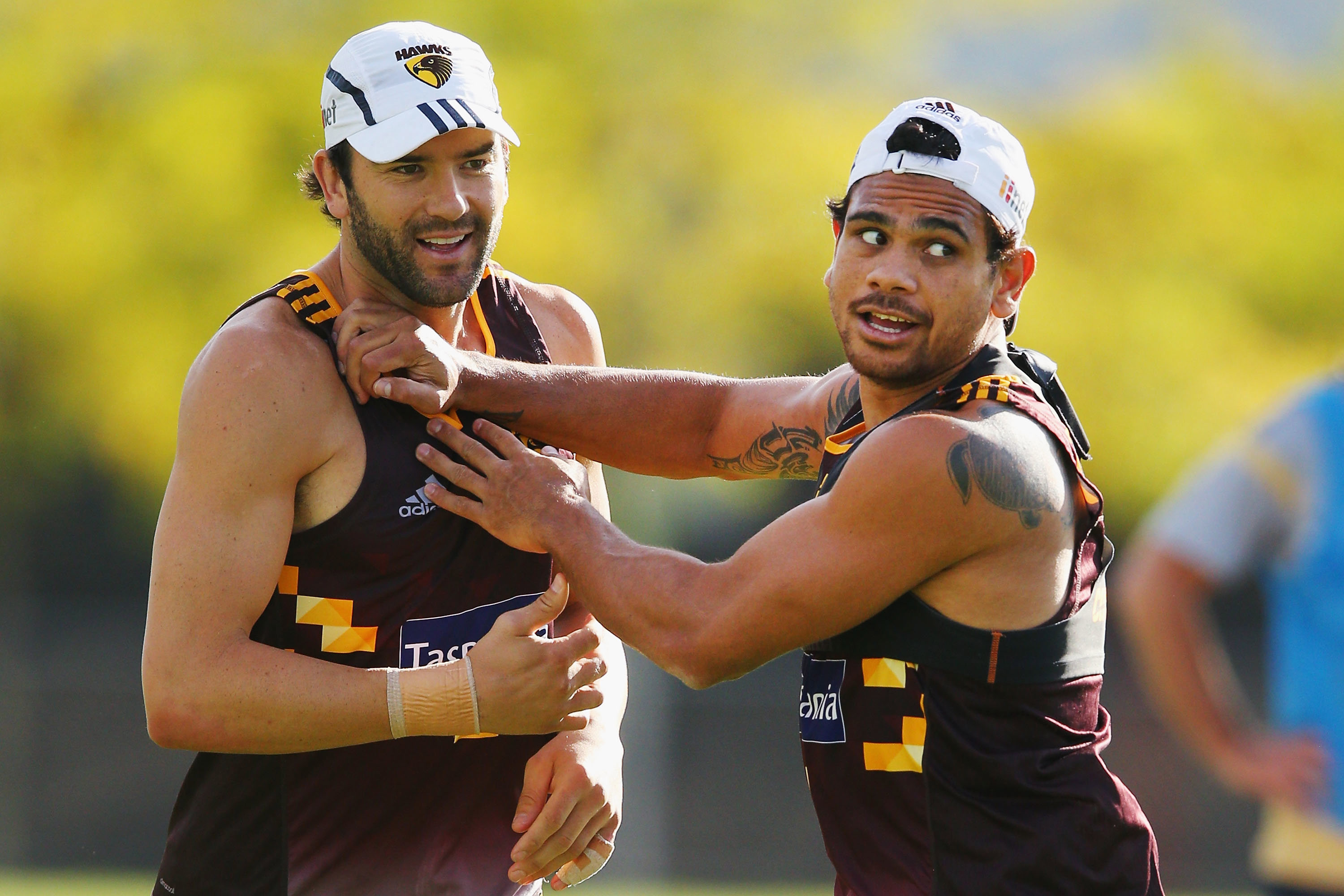 Cyril Rioli of the Hawks pushes away Jordan Lewis during a Hawthorn Hawks AFL training session at Waverley Park on February 23, 2016 in Melbourne, Australia. (Photo by Michael Dodge/Getty Images)