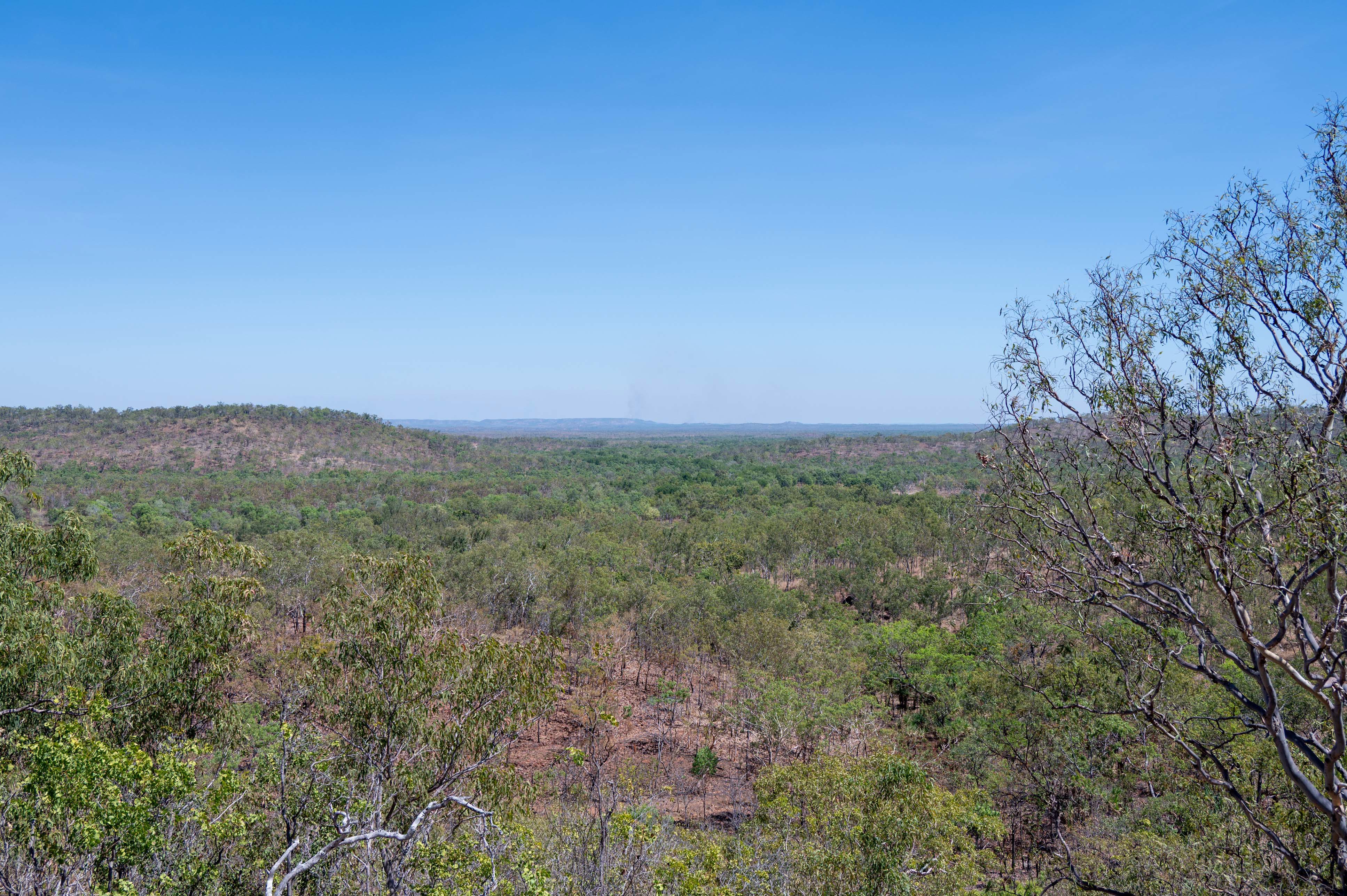 Man struck after running towards moving vehicle on outback NT road