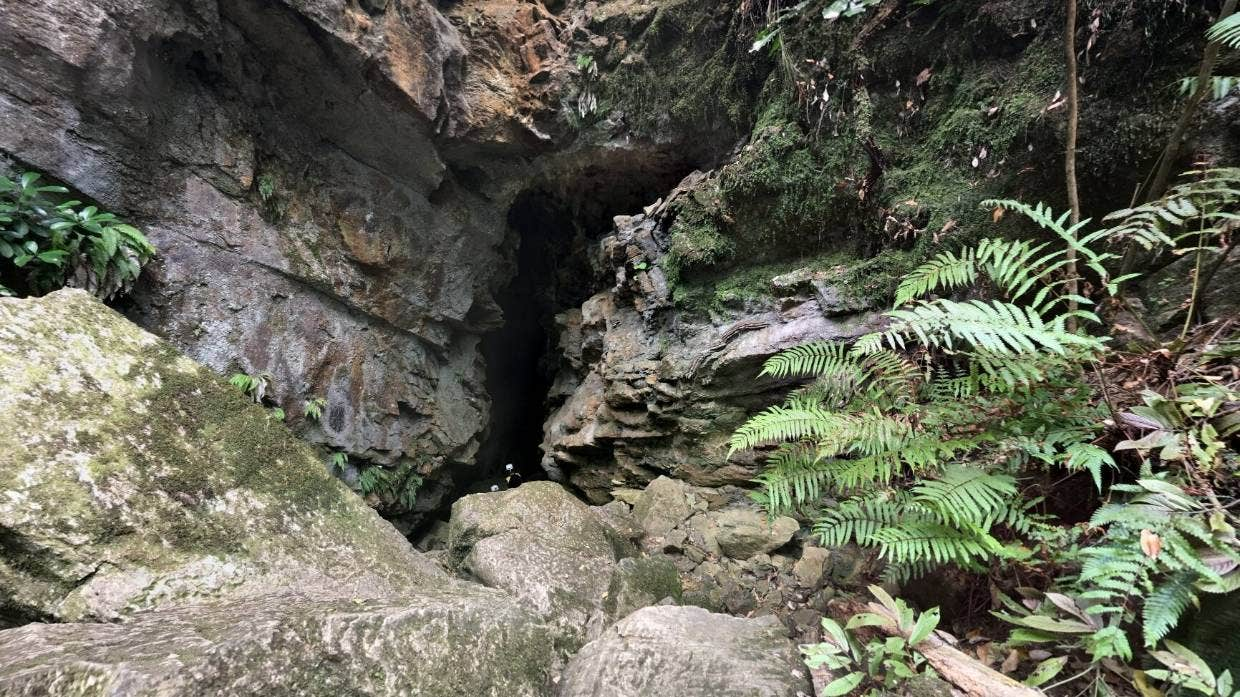 A student from Whangārei Boys High School is missing at Abbey Caves in Whangārei.