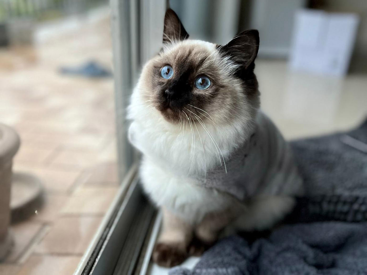 Reuben wasn't even two years old when he died from kidney failure.