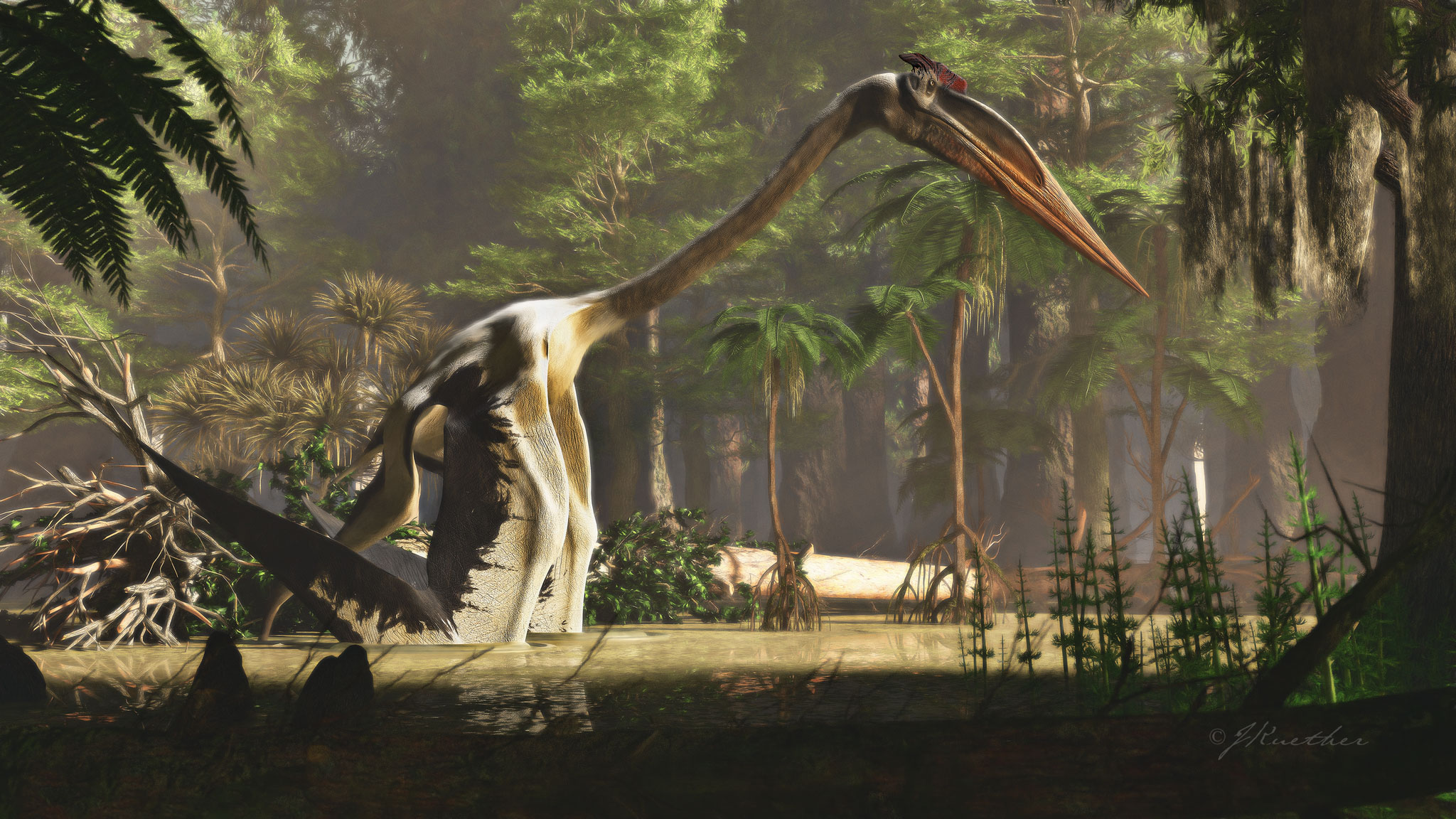 That's one giant reptile. The pterosaur Quetzalcoatlus is depicted in this artist's illustration. (The University of Texas at Austin/Jackson School of Geosciences)